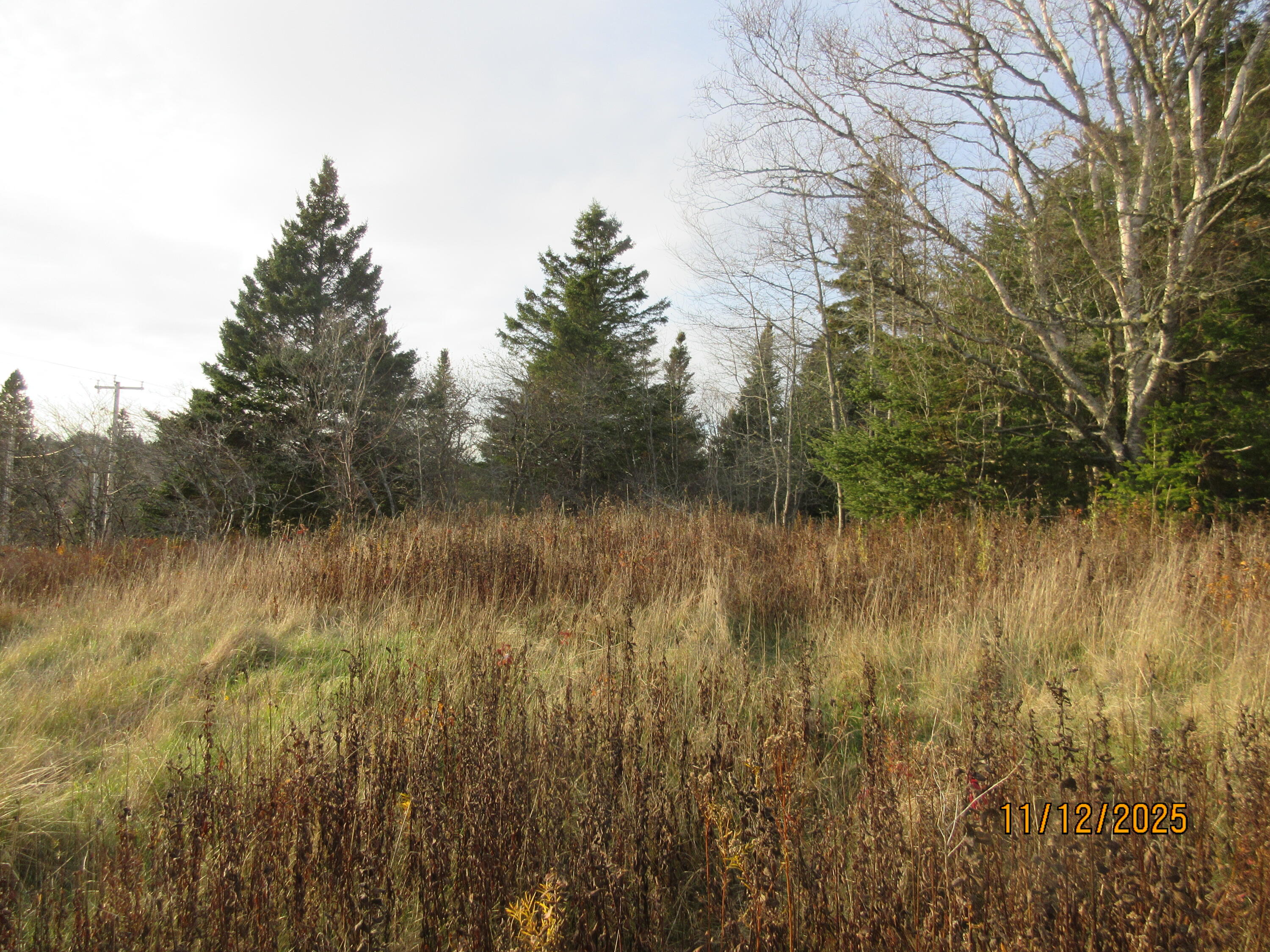 Lot 1 Smalls Point Road, Machiasport, ME, 04655