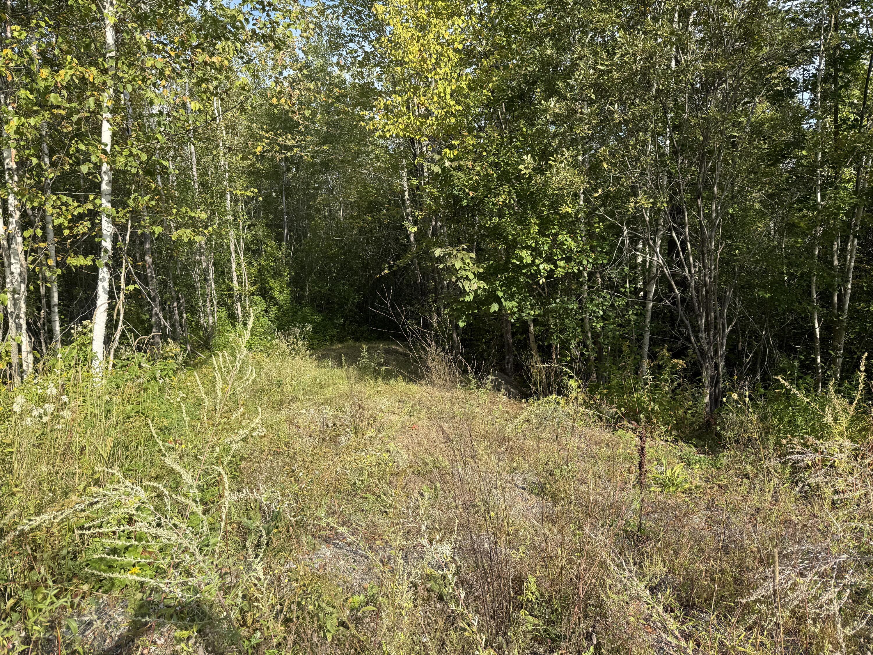 11 Bowling Green Lane, Belfast, ME, 04915