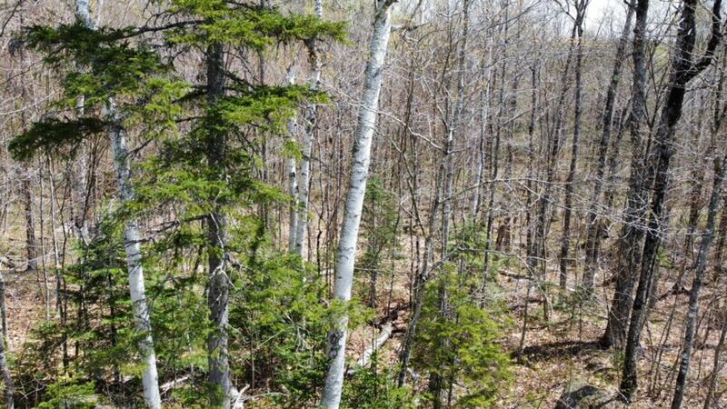 2029 Fox Hollow Road, Carrabassett Valley, ME, 04947