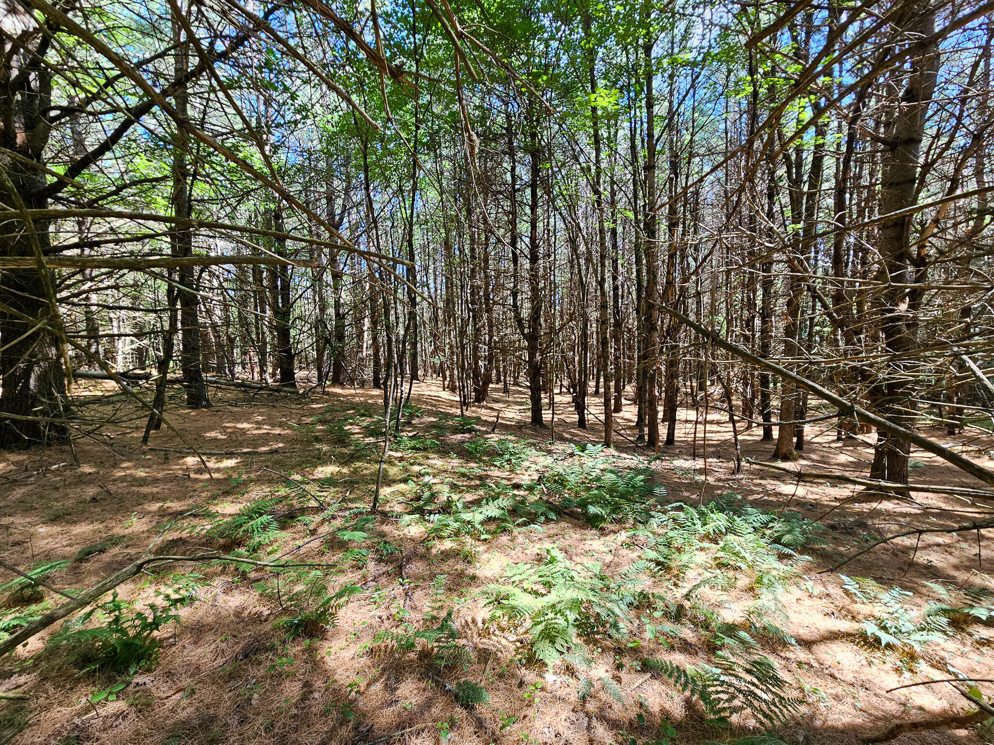 11-31-C Stone Hill Road, Farmington, ME, 04938