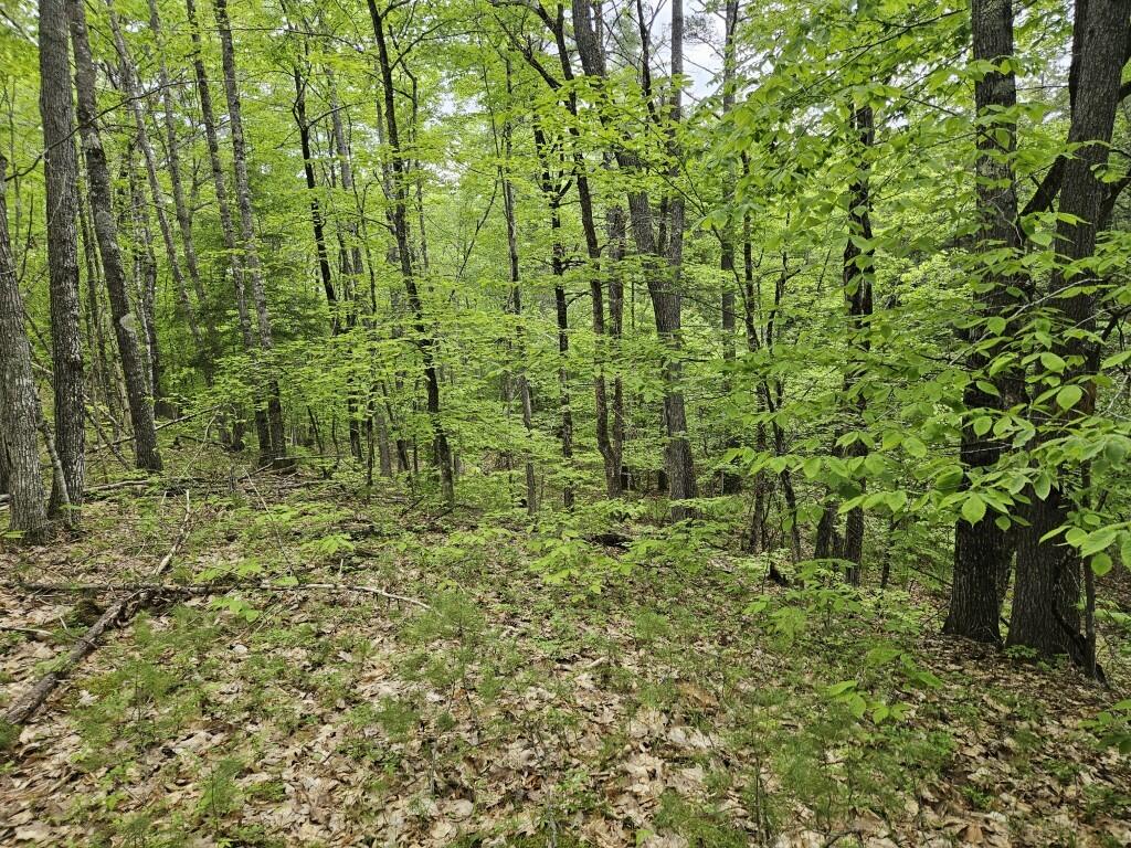 M10L44 Mountain View Road, Fryeburg, ME, 04037