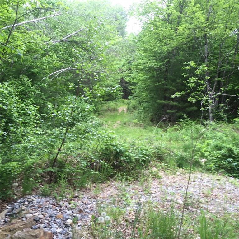 0 Richardson Hollow & Young Hill Road, Greenwood, ME, 04255