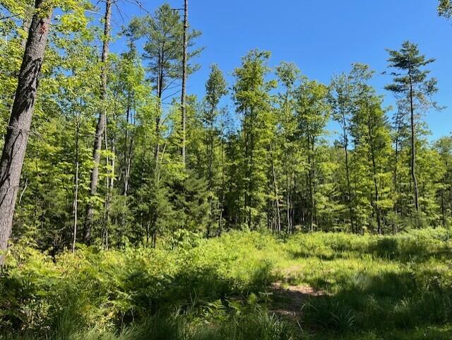 Lot 045 Sawyer Notch Road, Andover, ME, 04216
