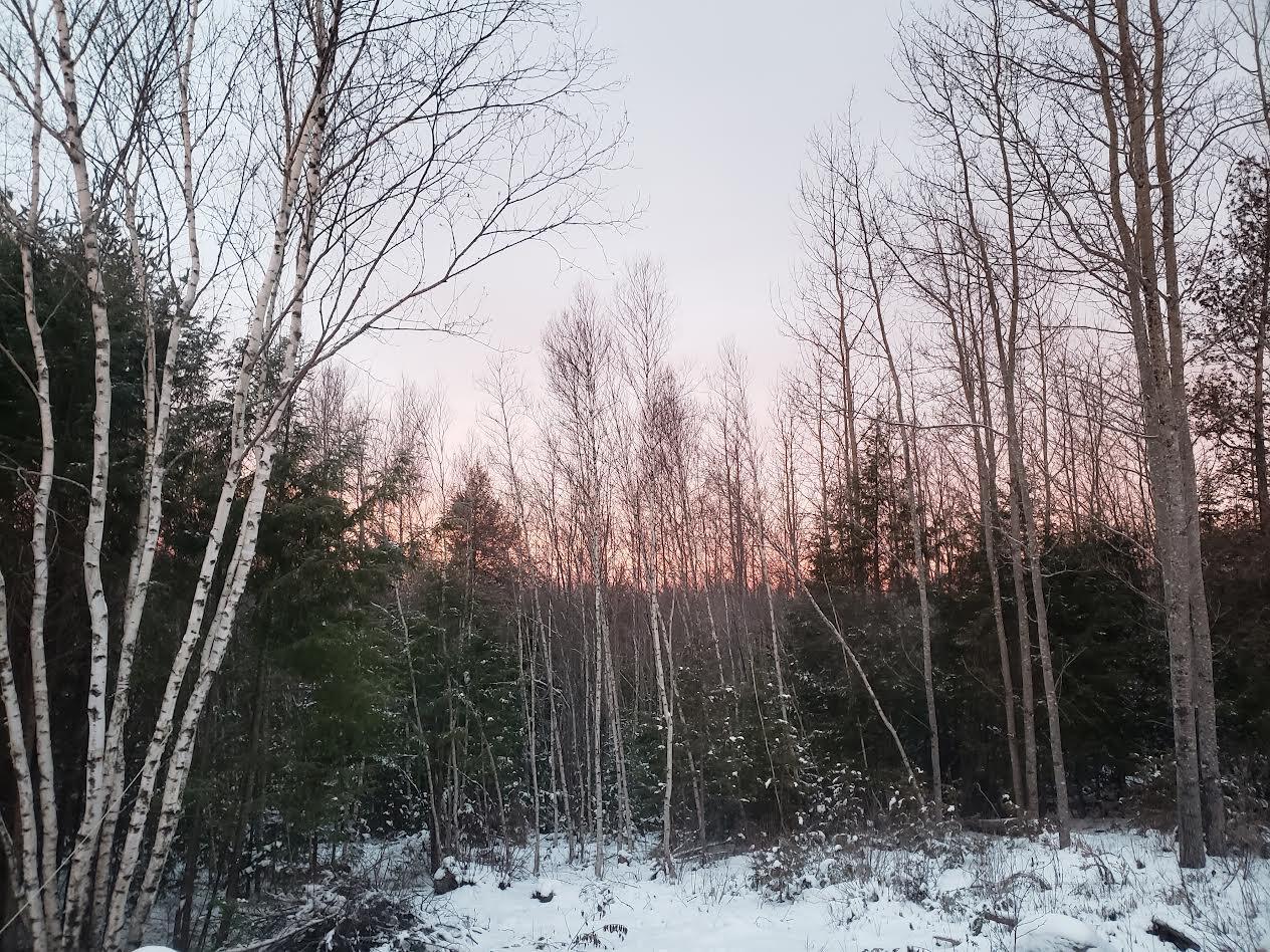 Penobscot County