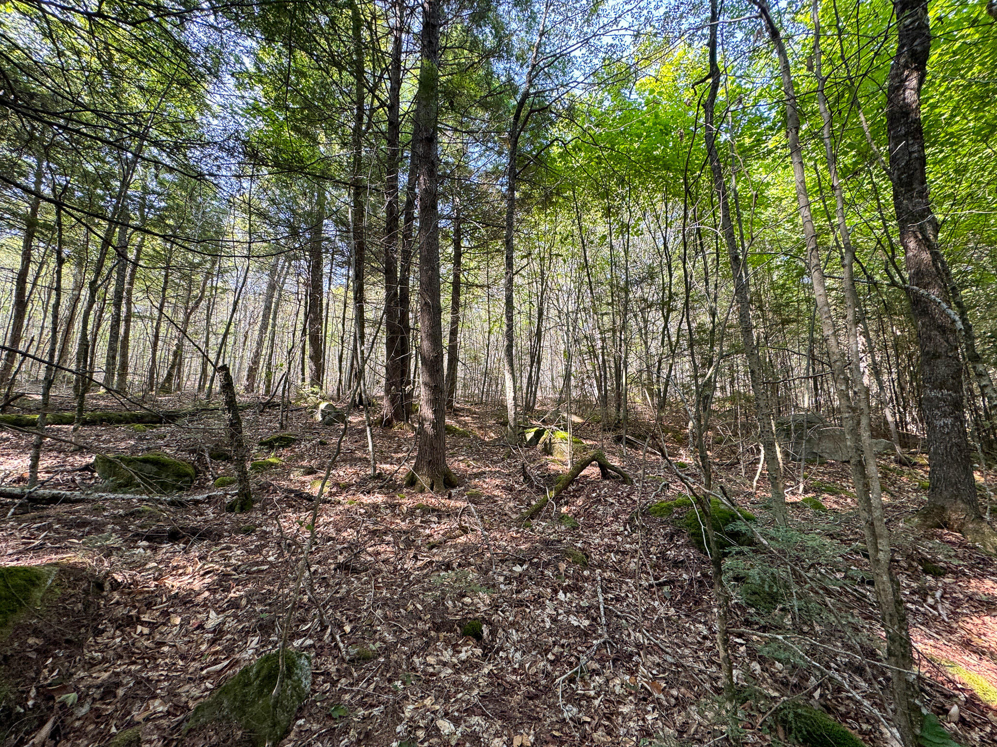 P/O M29L23 Bluff Road, Enfield, ME, 04493