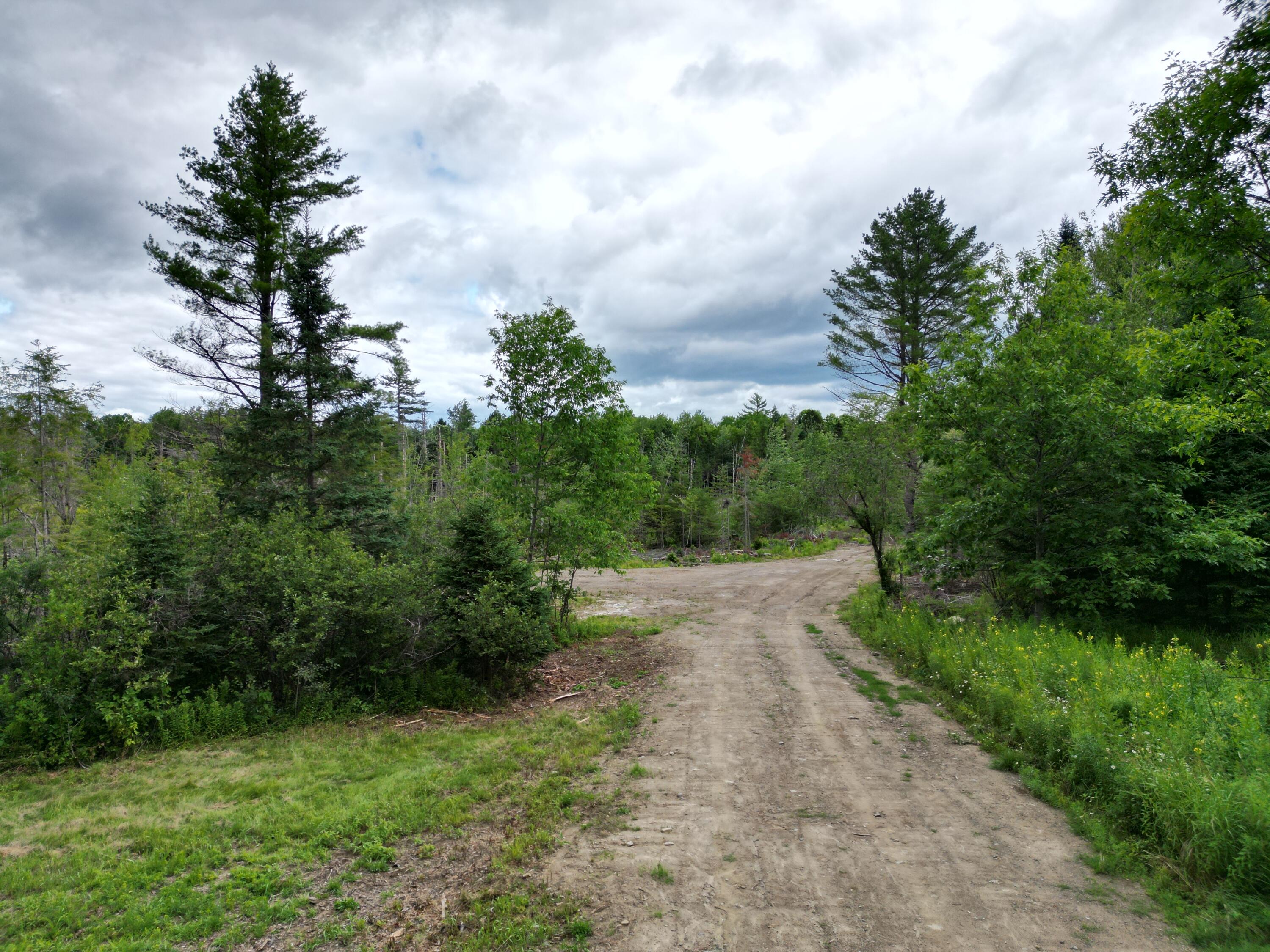 Photo of Lot 16 Route 1 Brookton Twp ME 04413