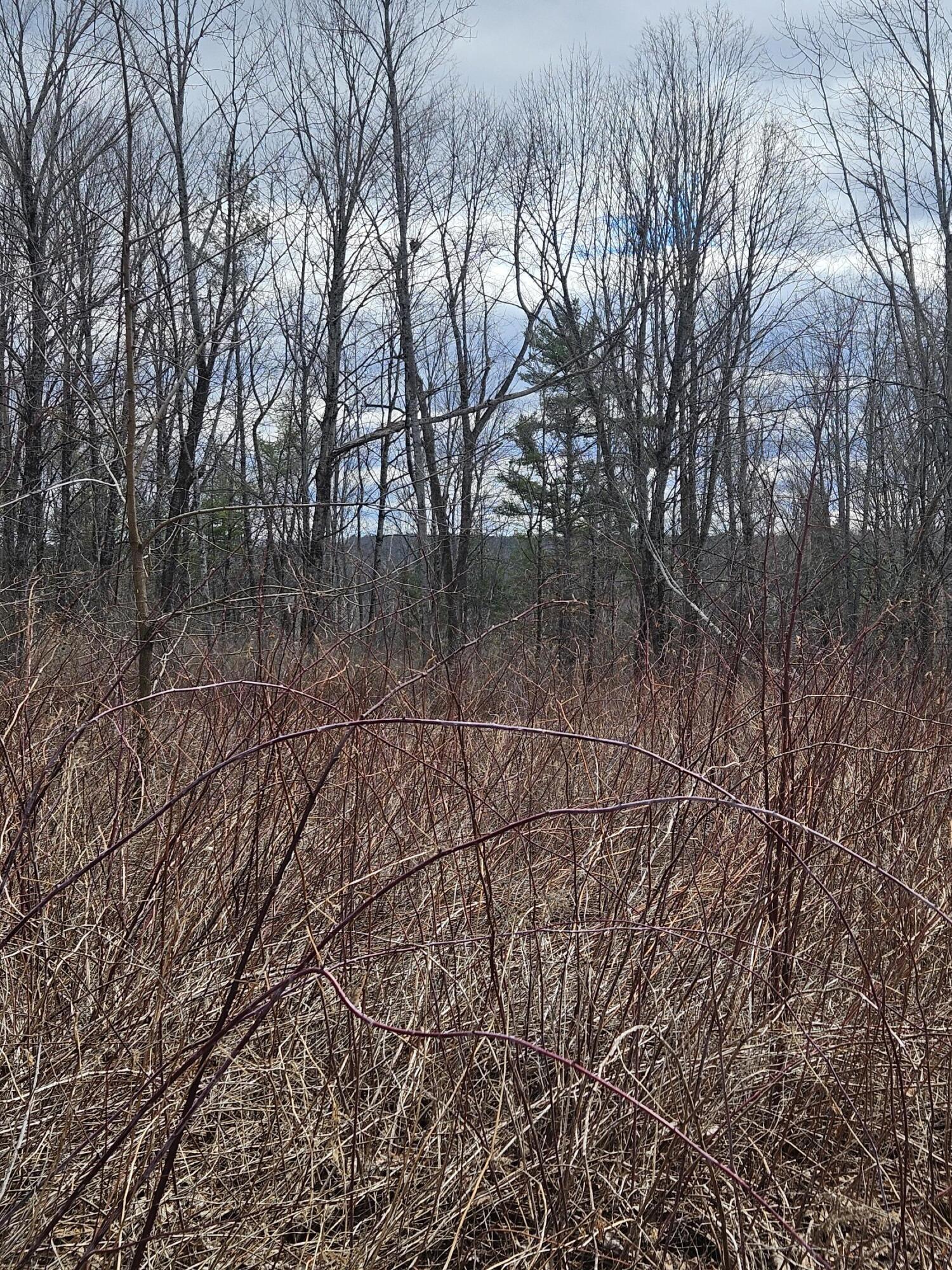 Lot 113-2 Cushman Road, Winslow, ME, 04901