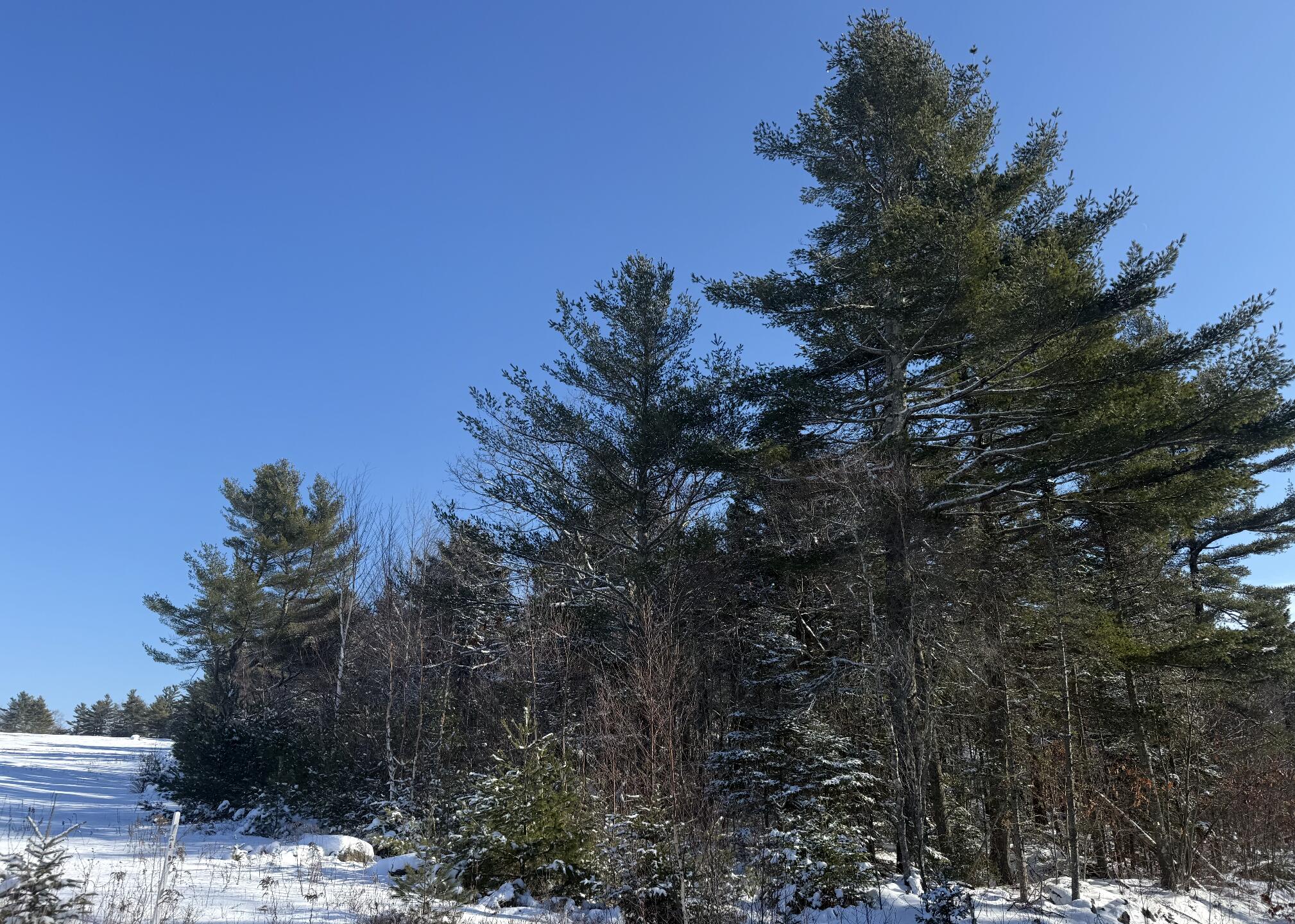 MR2-L122-1 Pout Town Road, Stockton Springs, ME, 04981