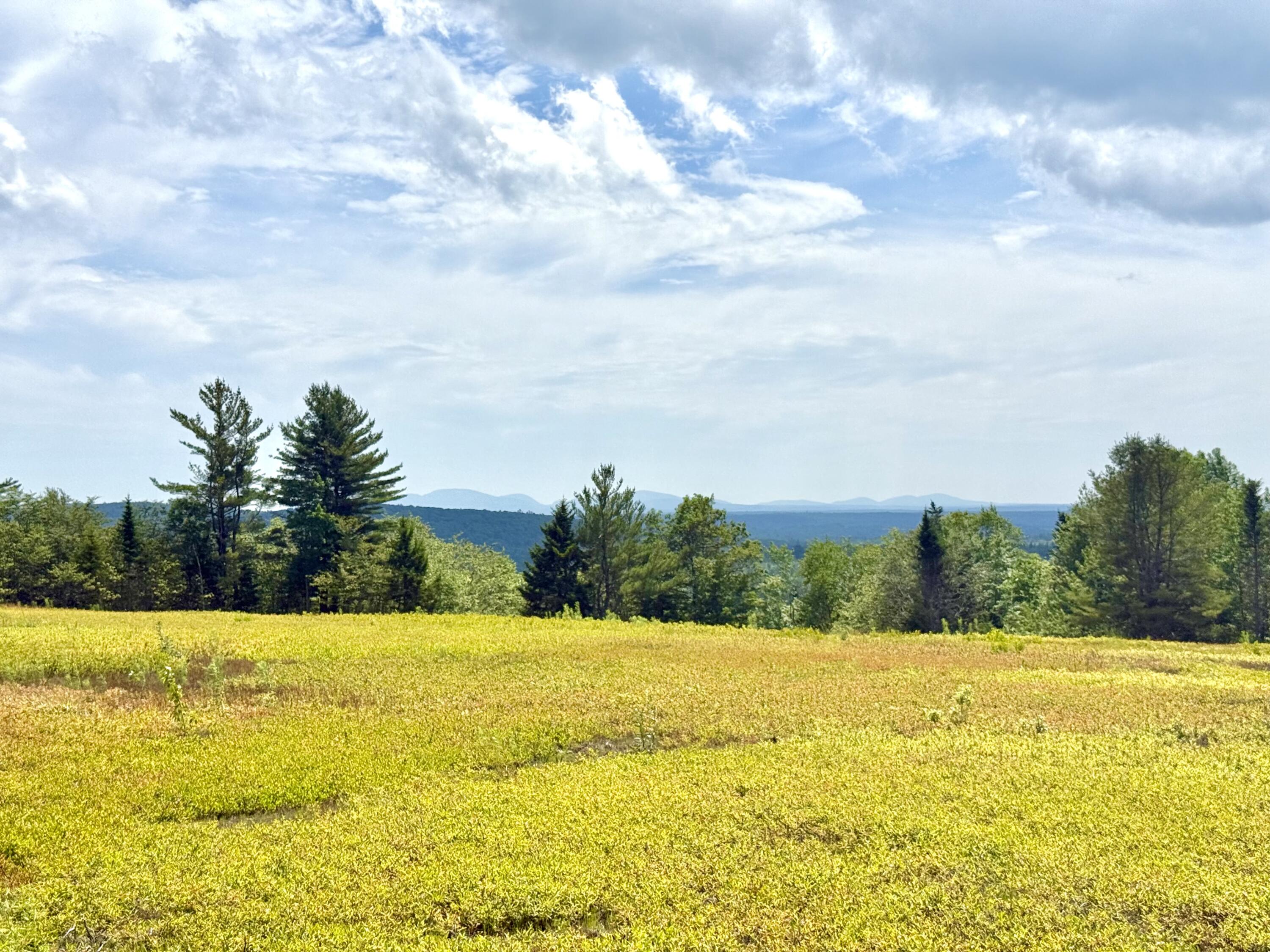 MAP13LOT11 Martins Ridge Road, Franklin, ME, 04634