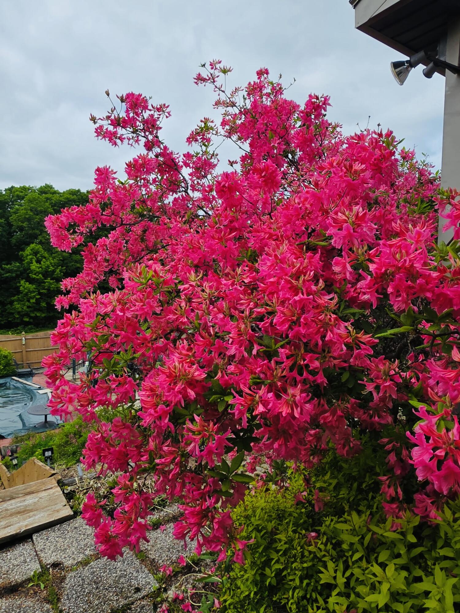 28 Messina Drive, Skowhegan, ME, 04976