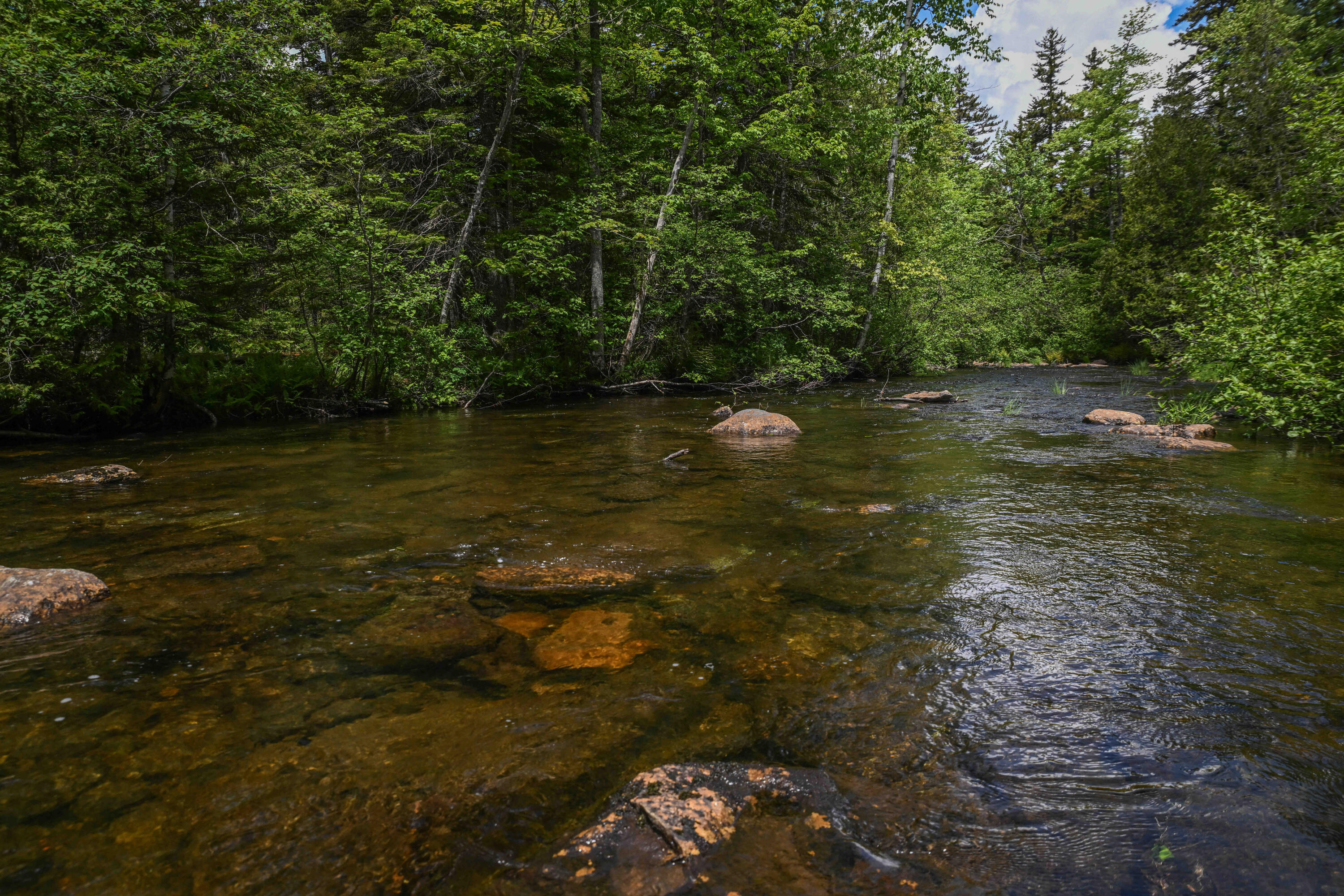 Tax Map 20 Beaver Mountain Road, Sandy River Plt, ME, 04970