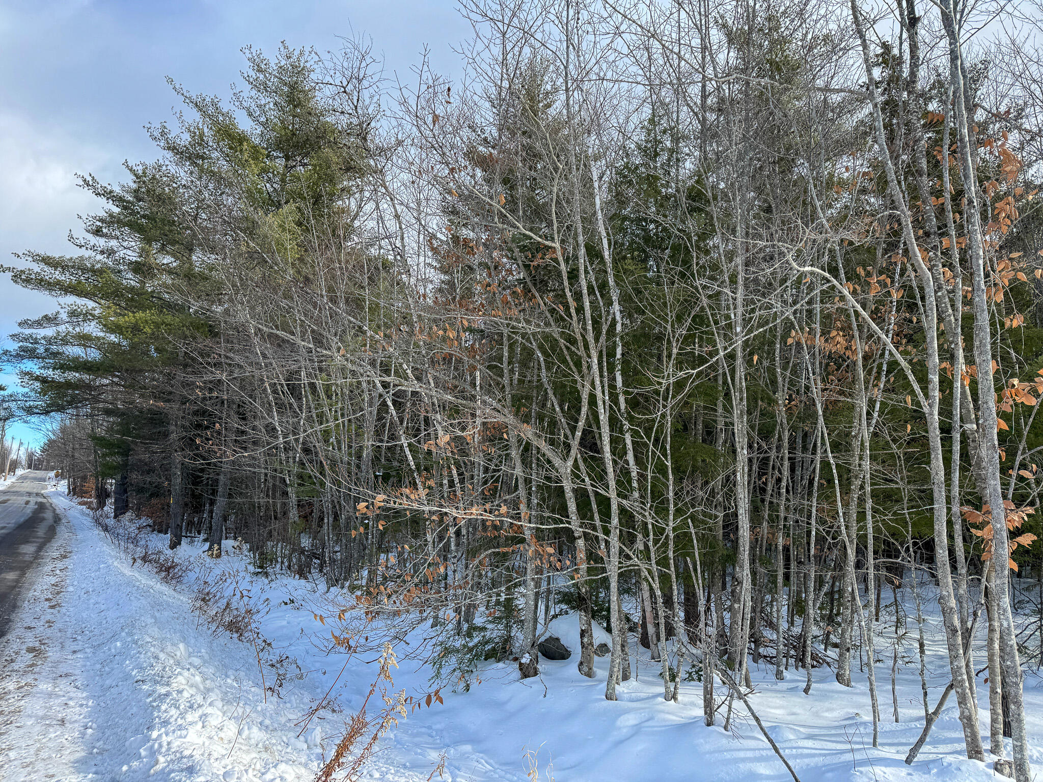 100 Sam Brown Hill Road, Brownfield, ME, 04010