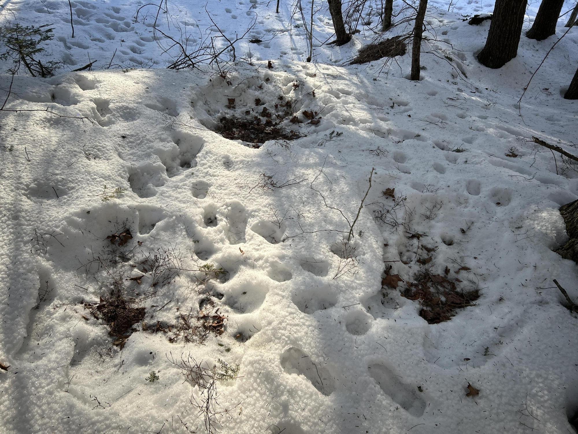 M7L22 Nelson Ridge Road N, Washington, ME, 04574