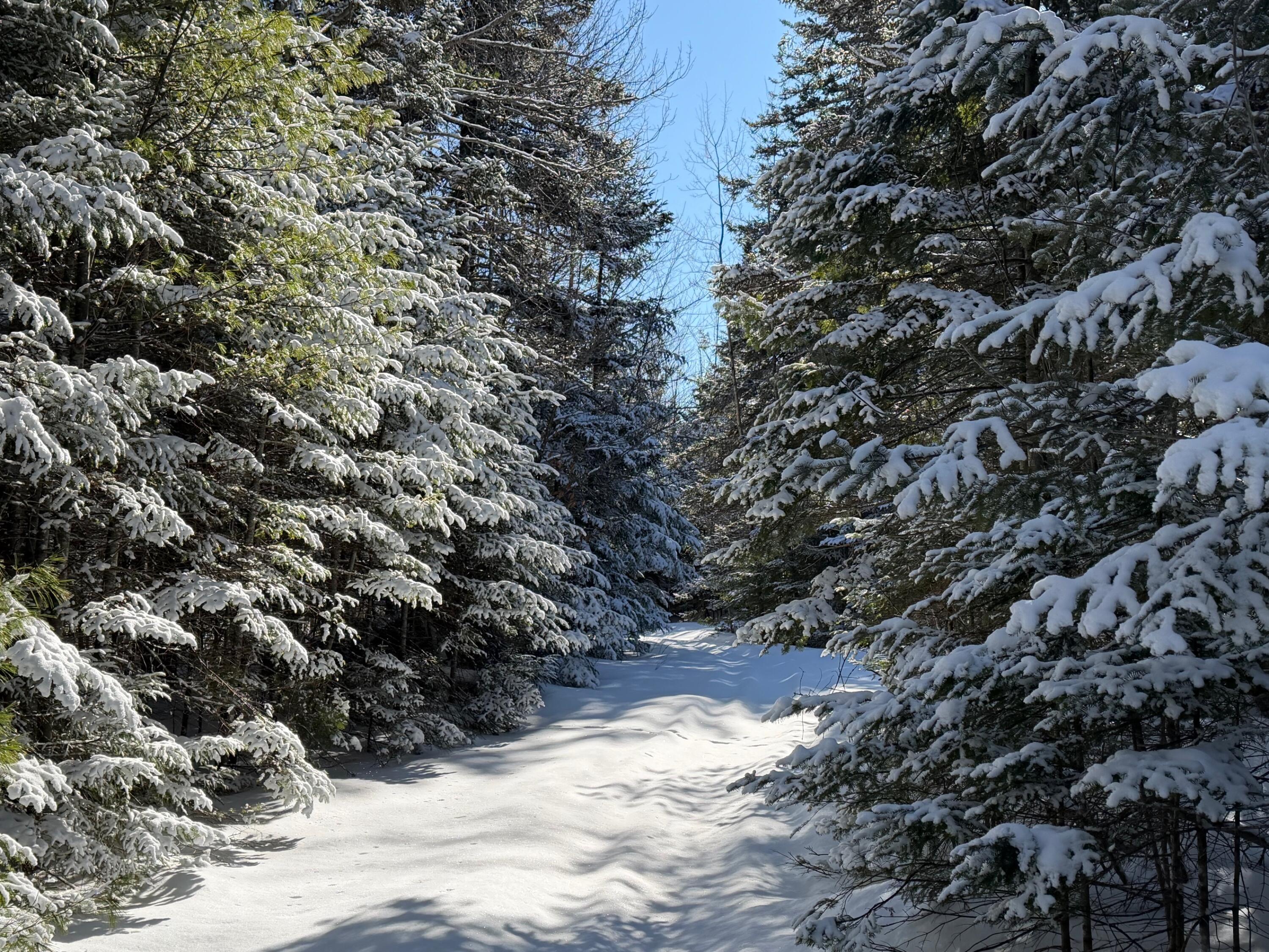 M5 Lot 1&3 East Road, Greenville, ME, 04441