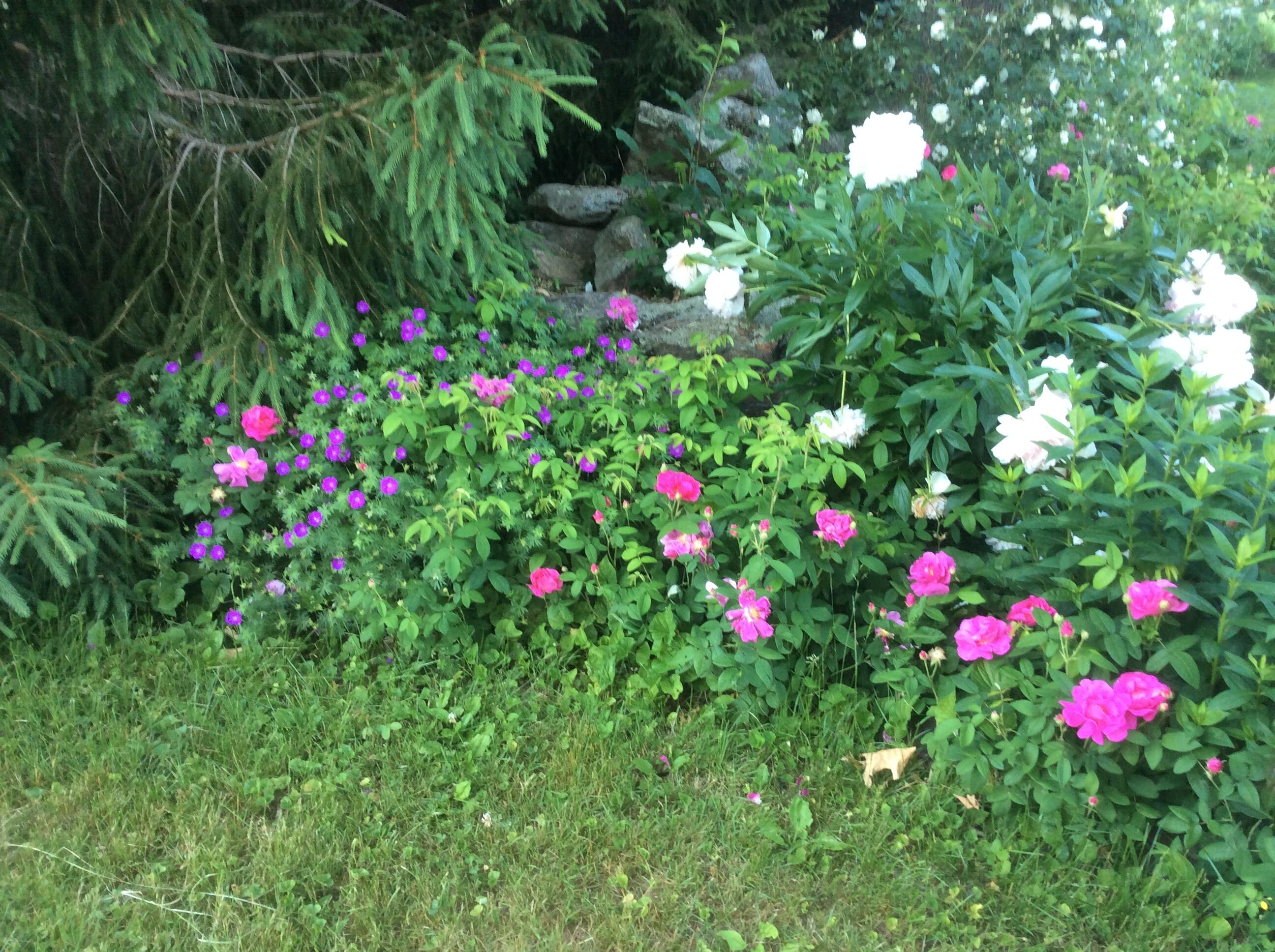 482 Back Road, Shapleigh, ME, 04076