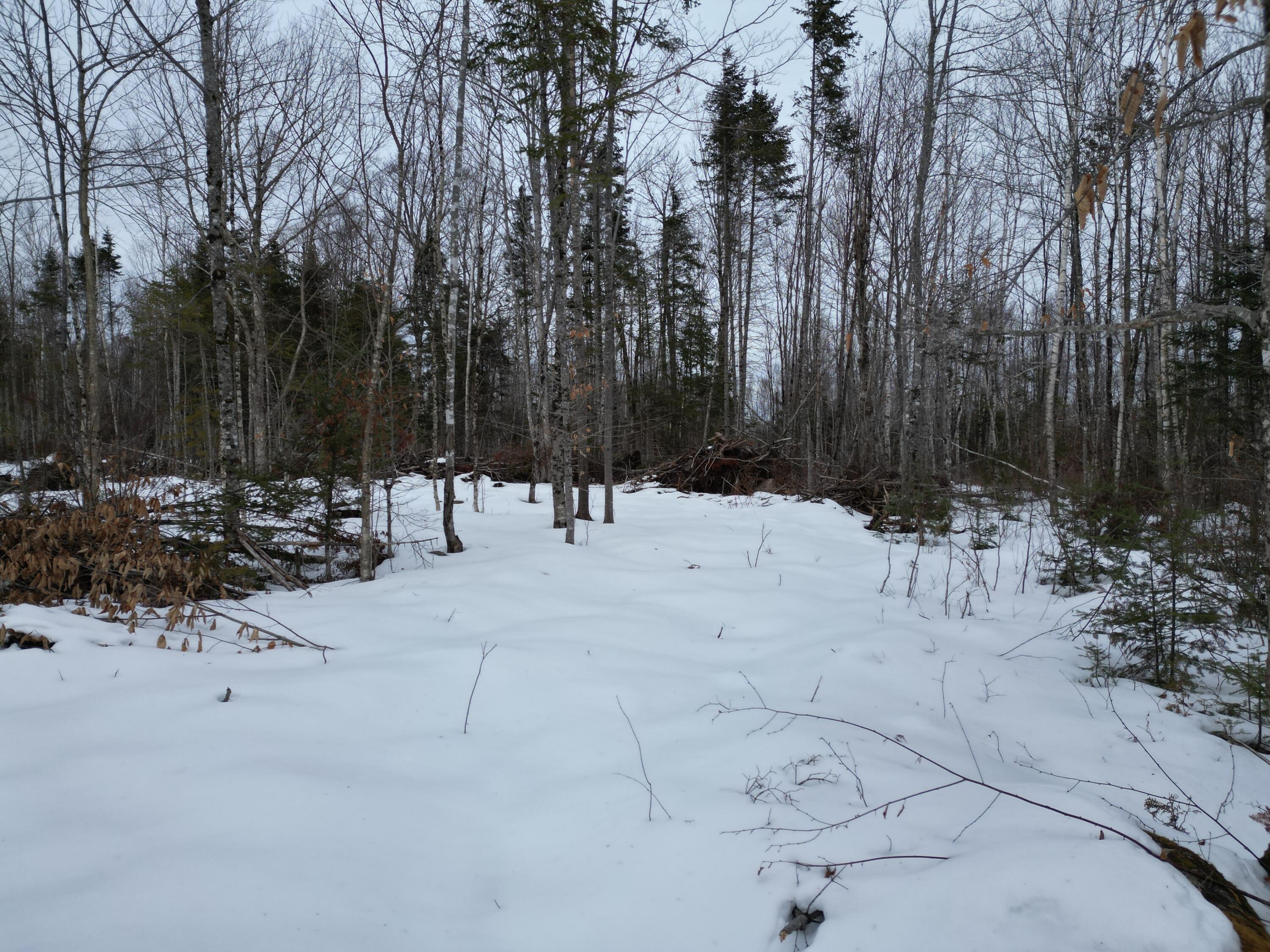 Lot 1 Moores Road, Springfield, ME, 04487