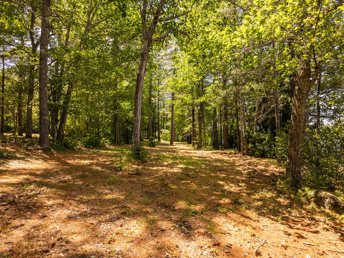 Lot 1 Aldus Shores Road, Searsmont, ME, 04973