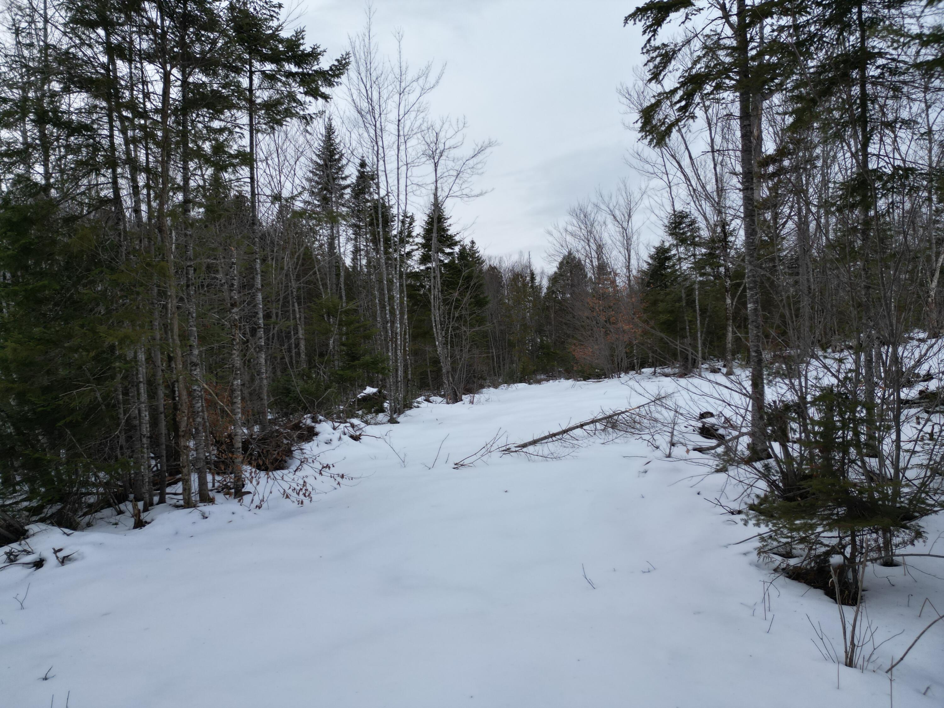 Lot 1 Moores Road, Springfield, ME, 04487