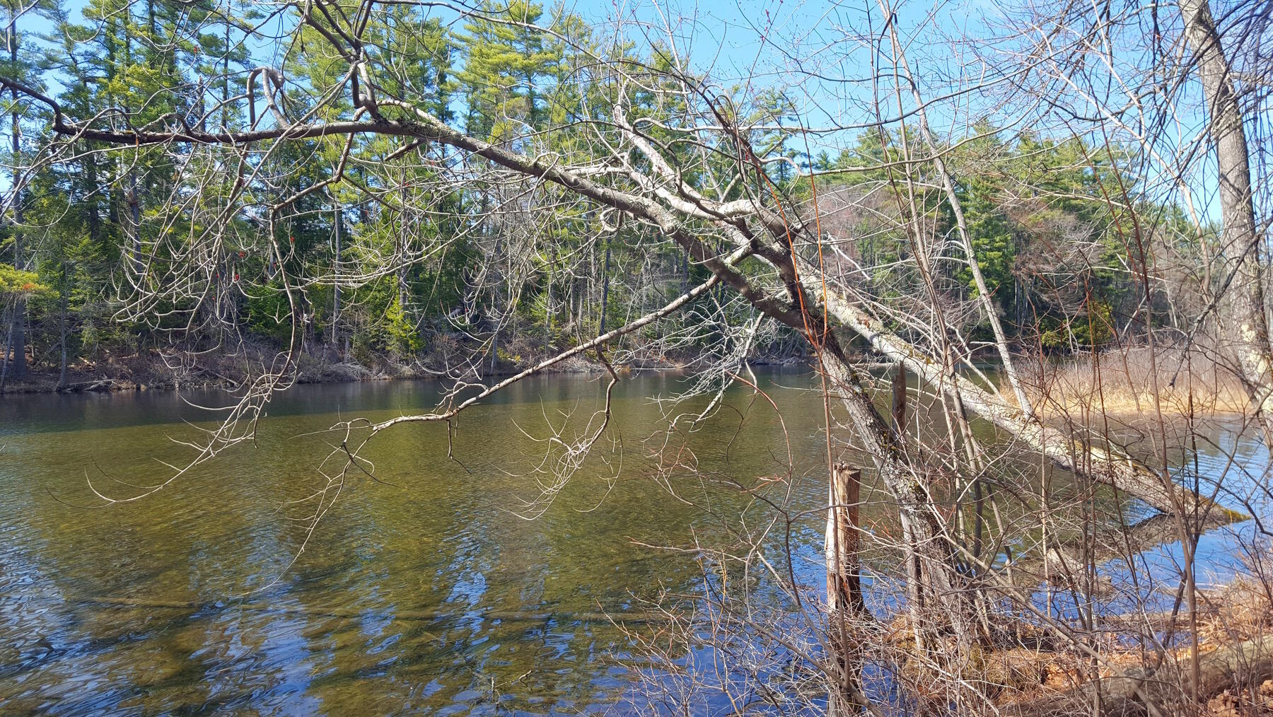 594 River Road Road, Windham, ME, 04062
