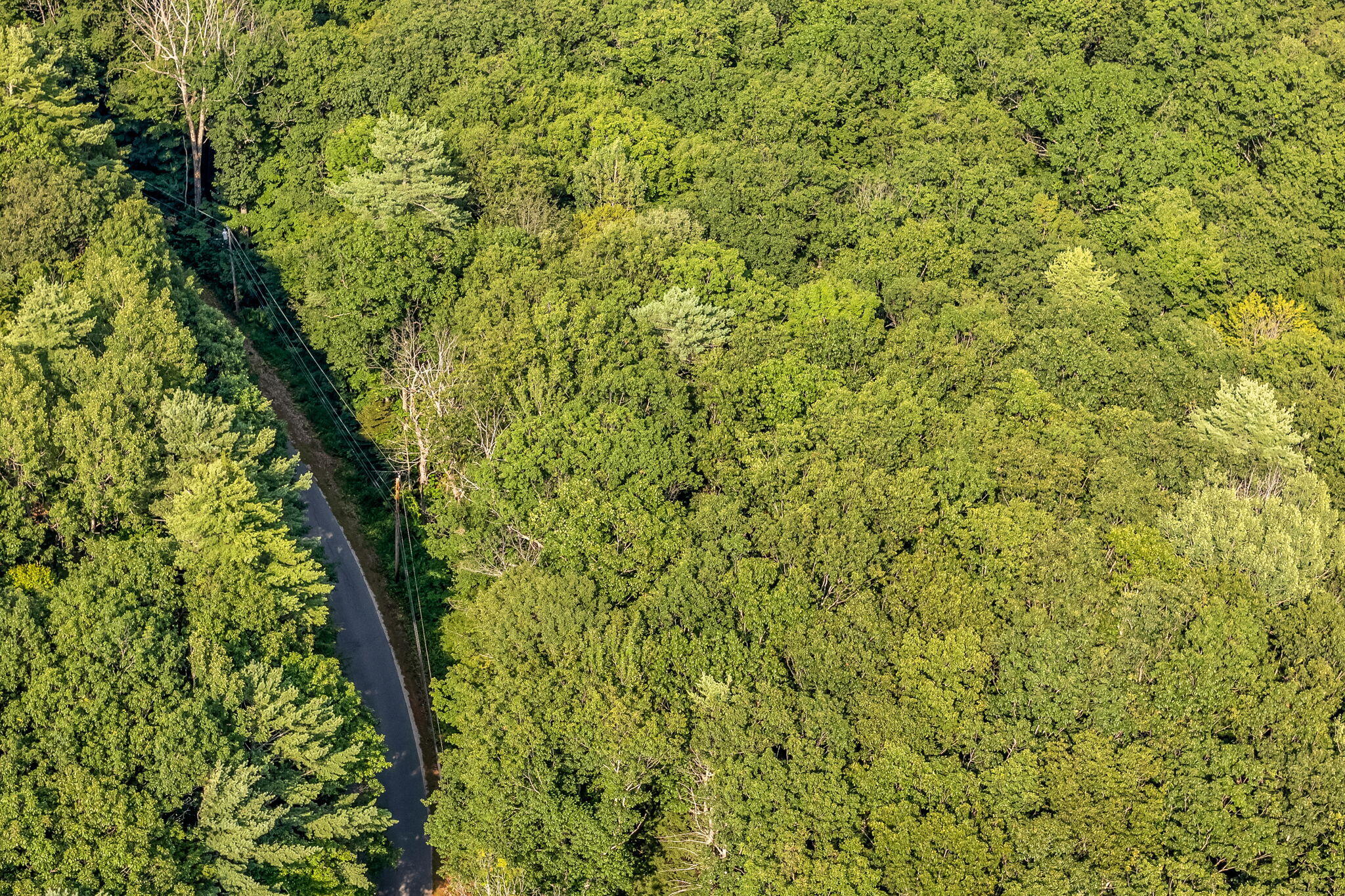 0 Sedgley Road, Greene, ME, 04236