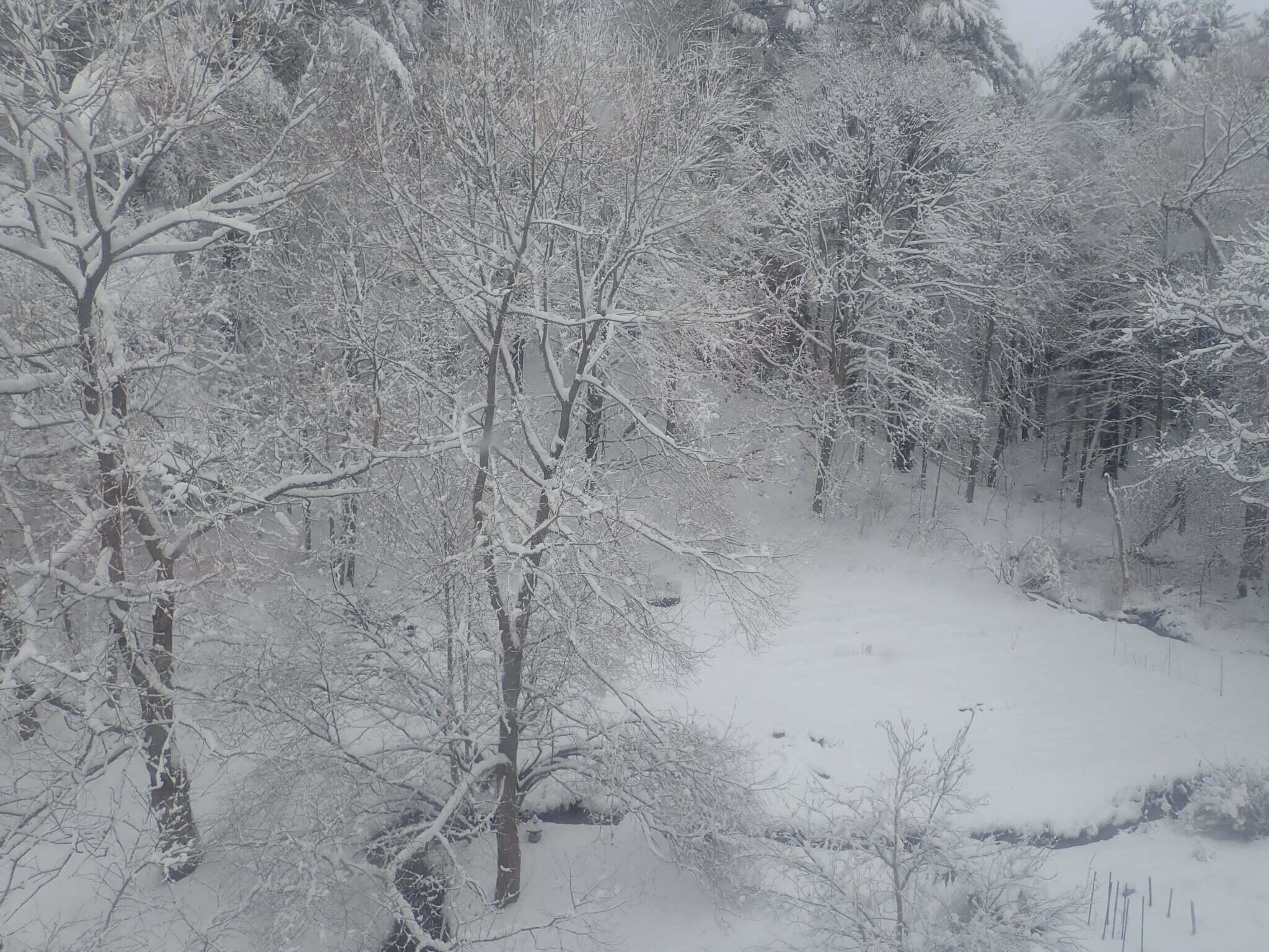 38 Main Street, Topsham, ME, 04086