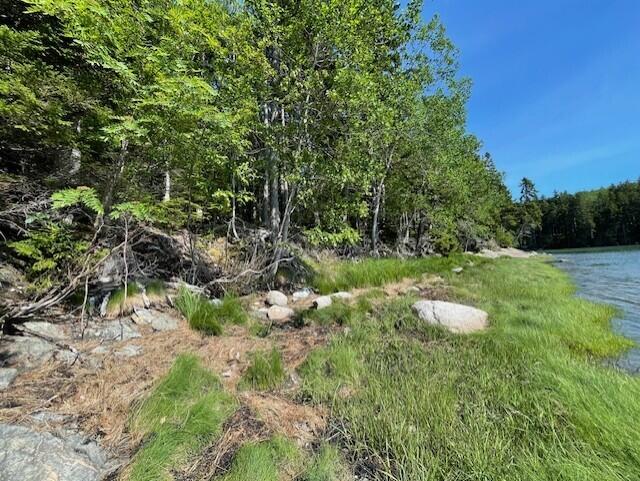 Lot 15-5 Fort Williams Road, Harrington, ME, 04643