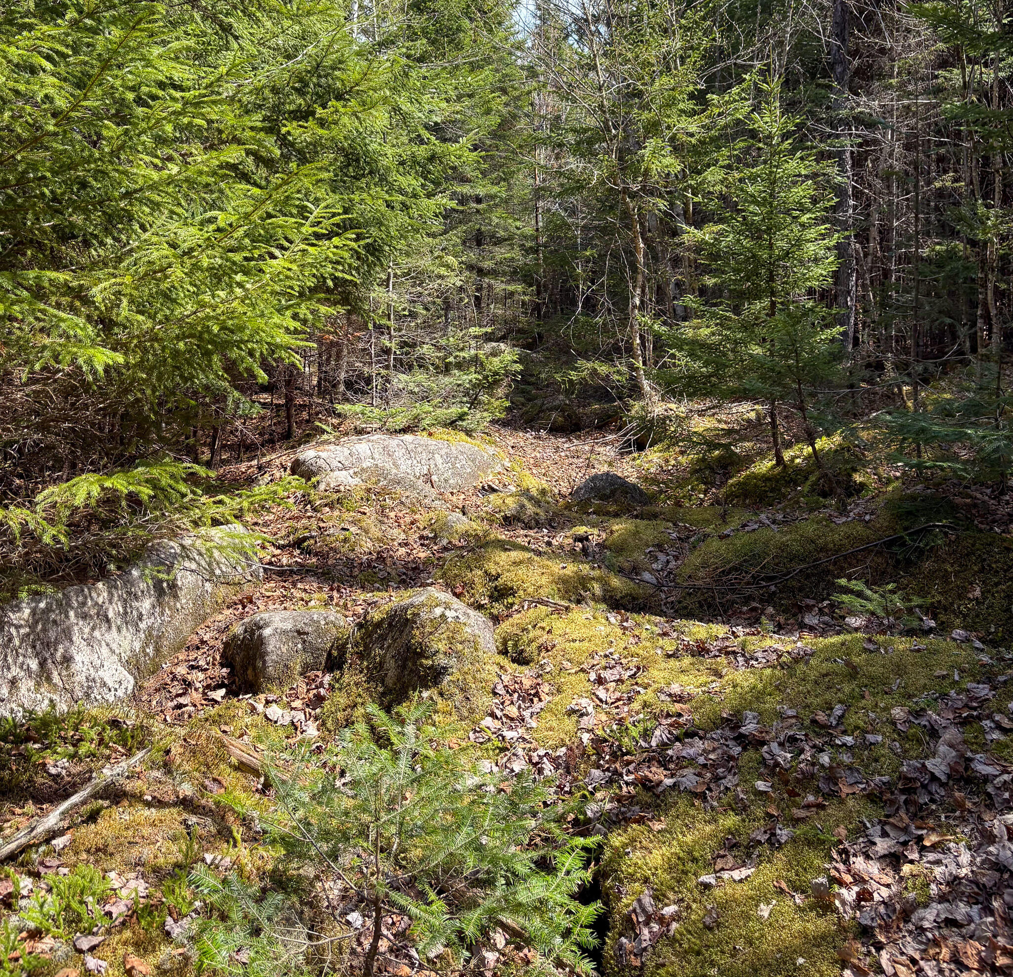 681 Mile Hill Road, New Sharon, ME, 04955