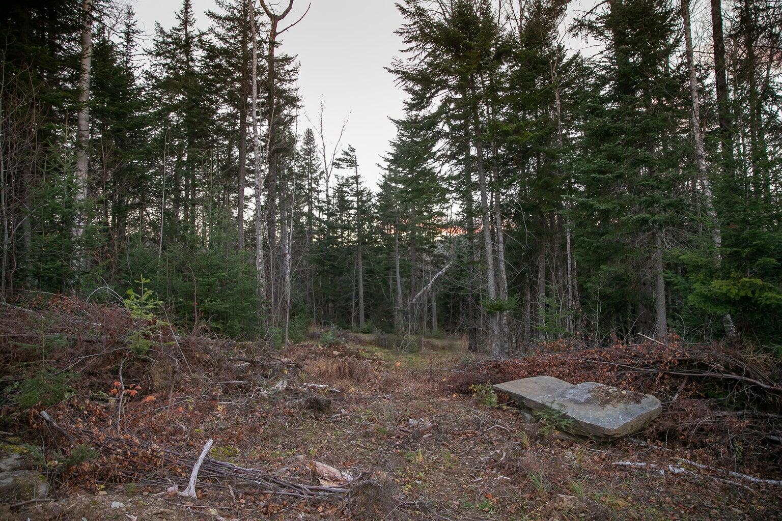 Lot 16 Mill Brook Road, Sandy River Plt, ME, 04970