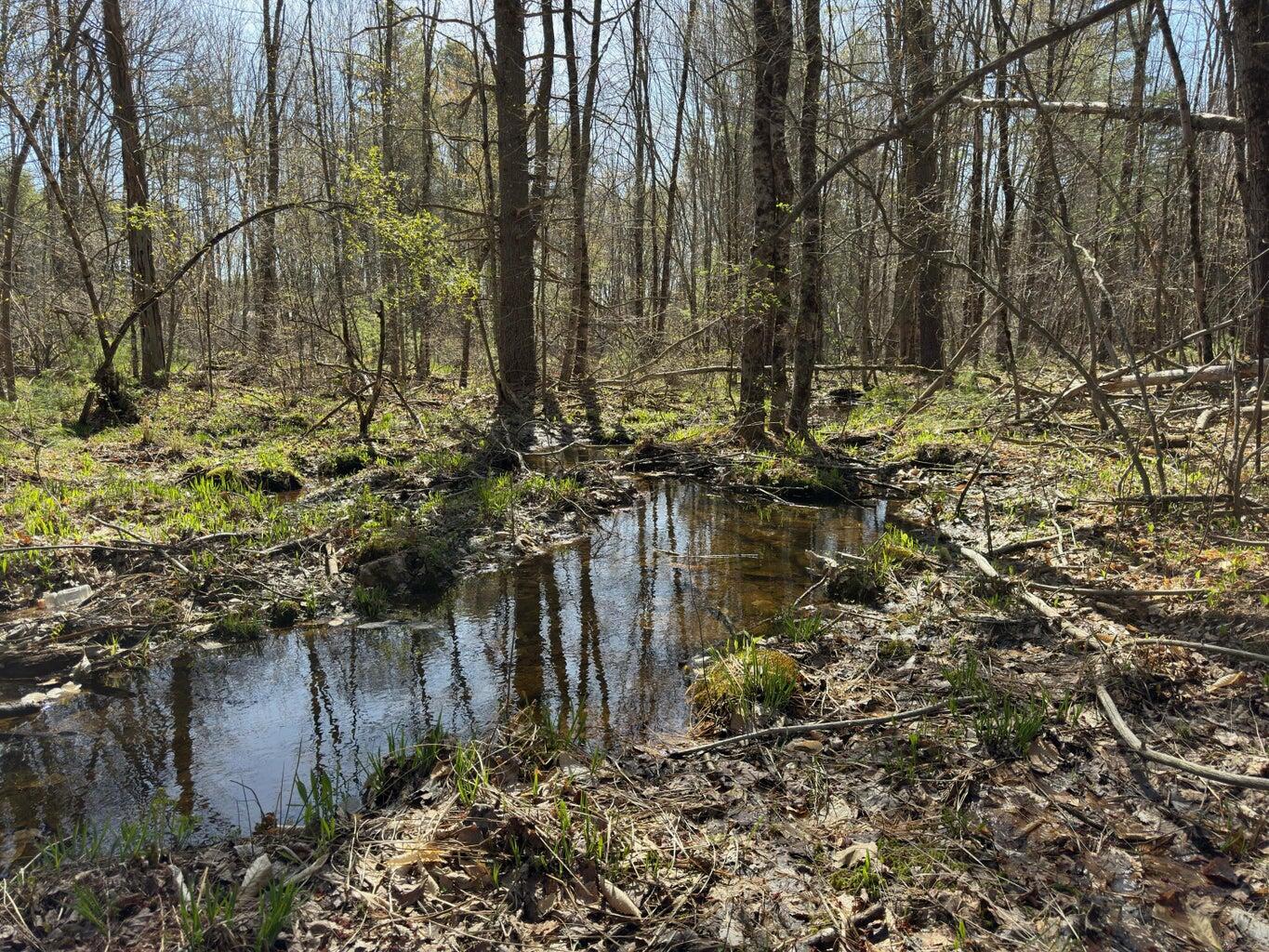 0 Scarlet Way, Lebanon, ME, 04027