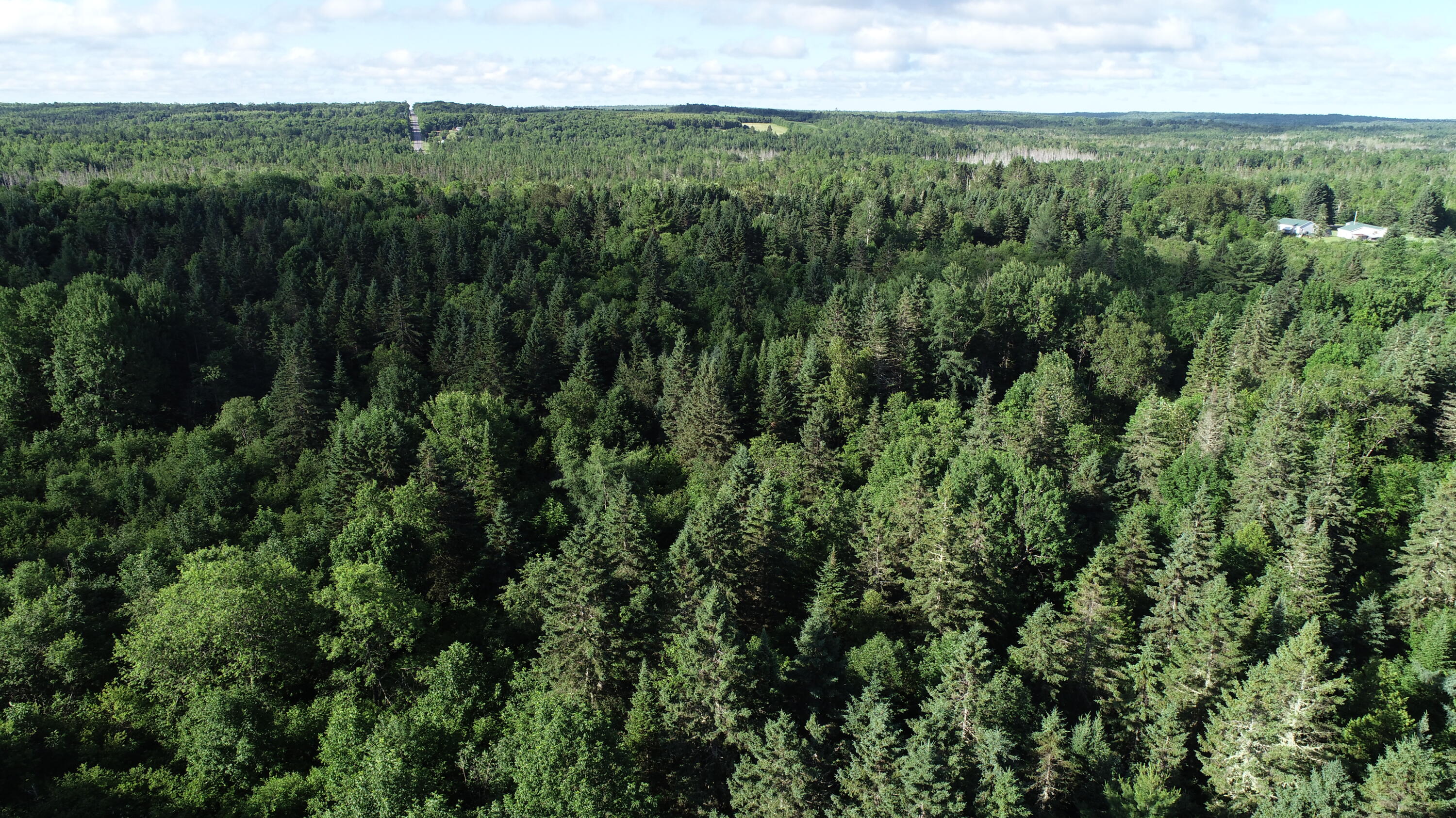 Lot 27 Brewer Road, Cary Plt, ME, 04471