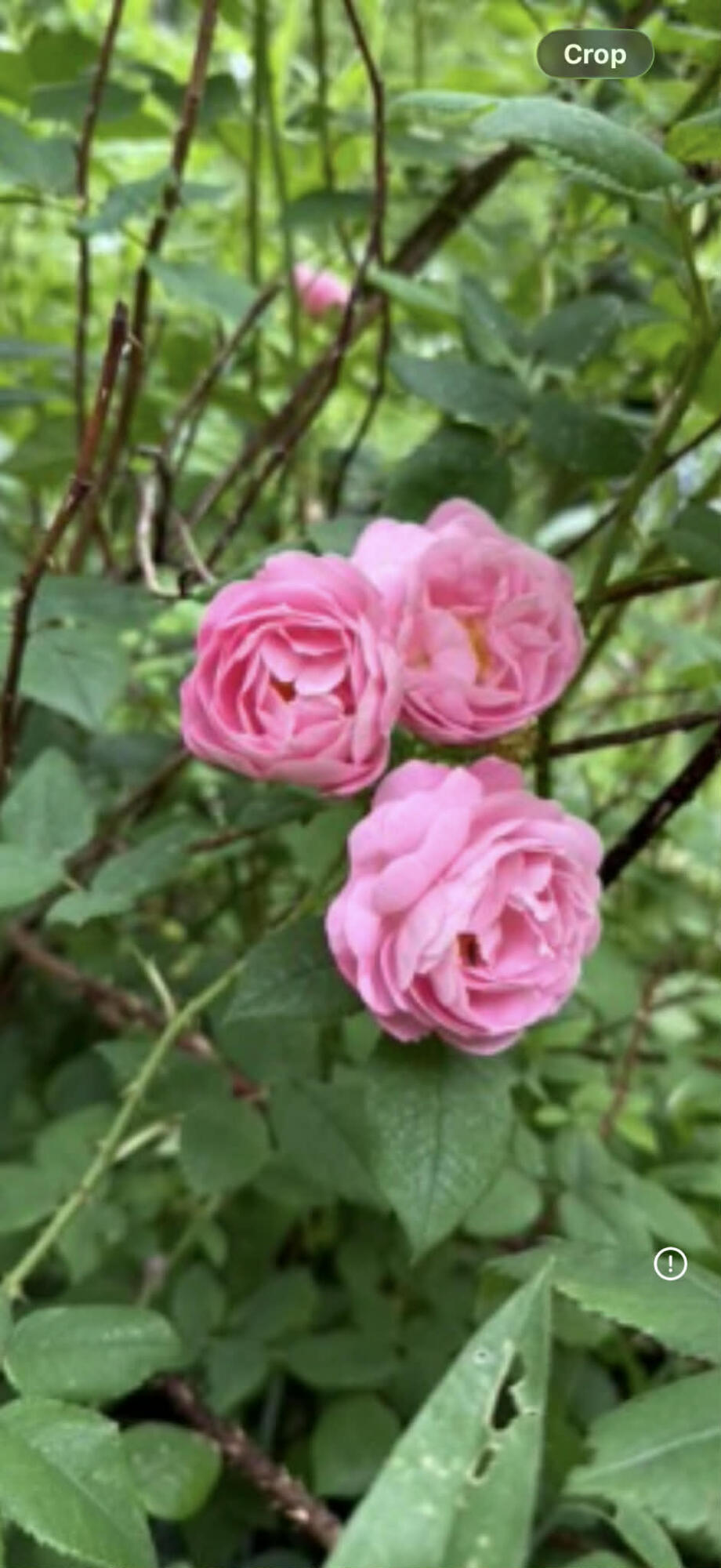 27 Turner Street, Buckfield, ME, 04220