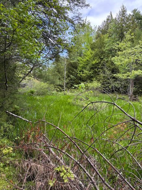 44A Trott Road Road, Woolwich, ME, 04579