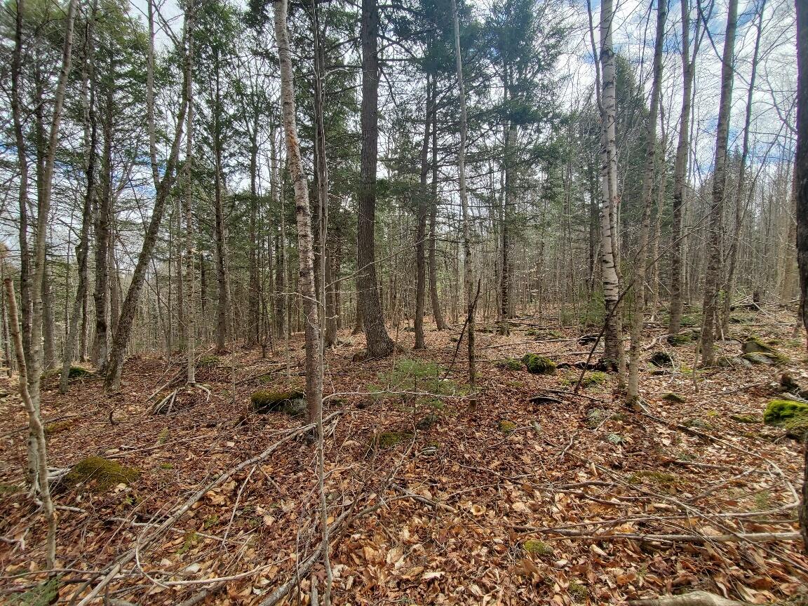 0 Sandy Beach Road, Danforth, ME, 04424