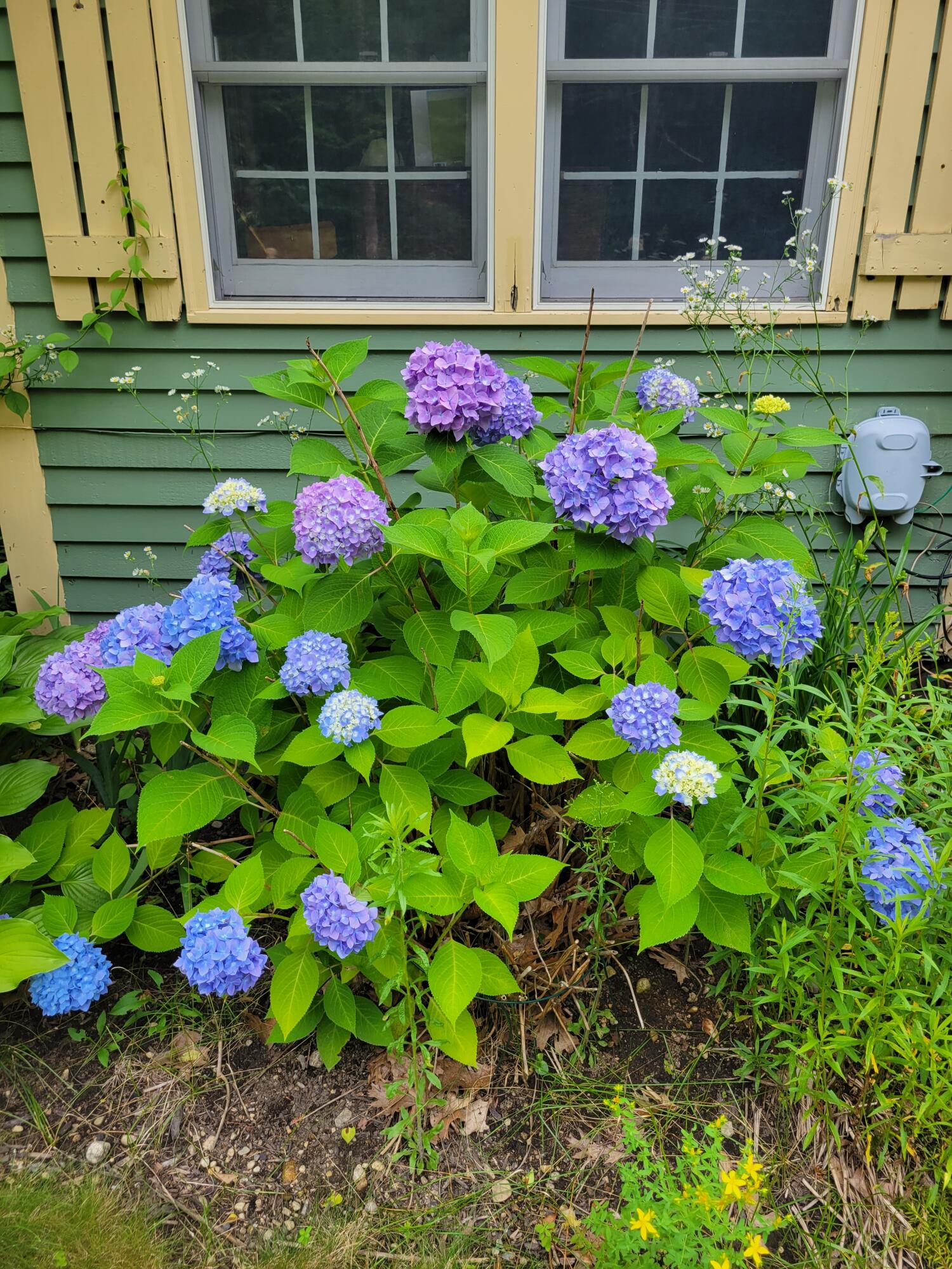 46 N Gorham Road, Gorham, ME, 04038