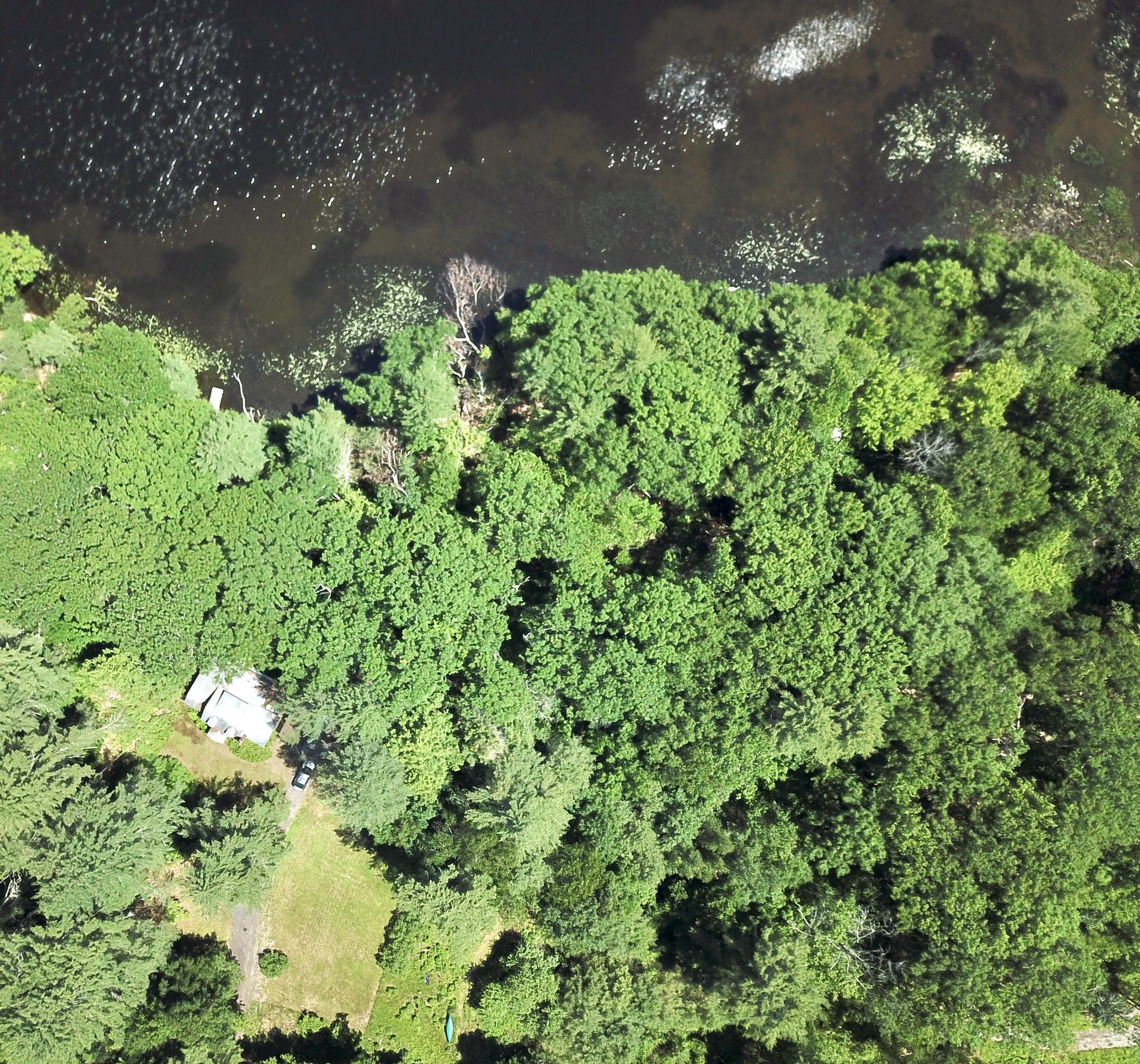 DJI_0345