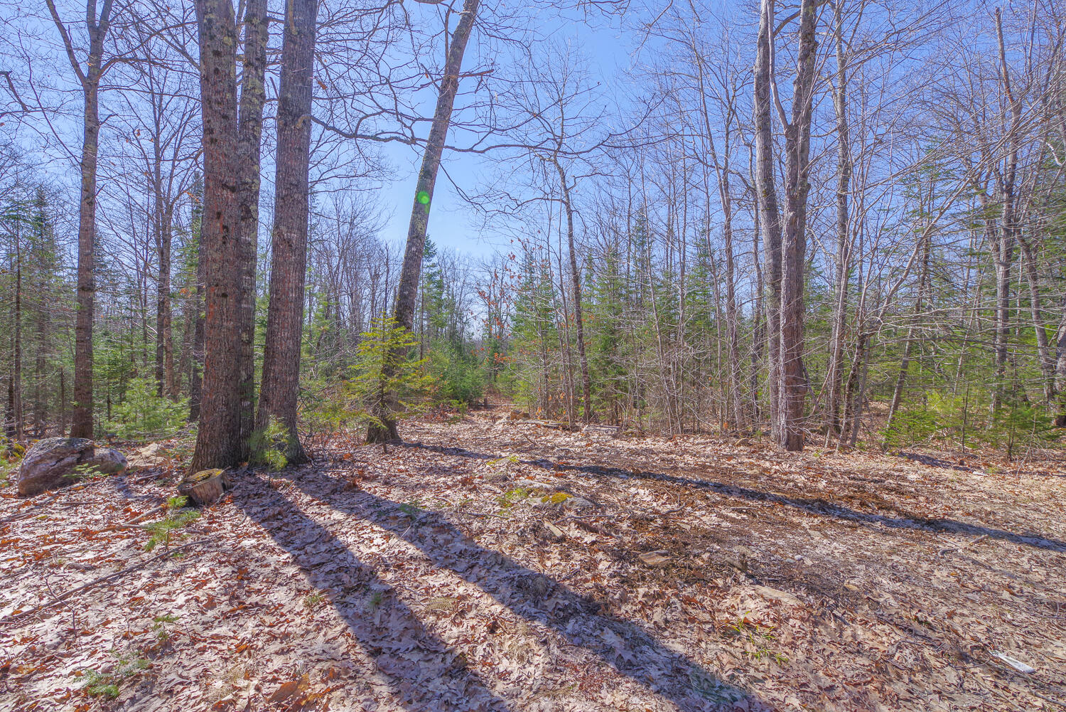 00 Higgins Hill Road, Morrill, ME, 04952