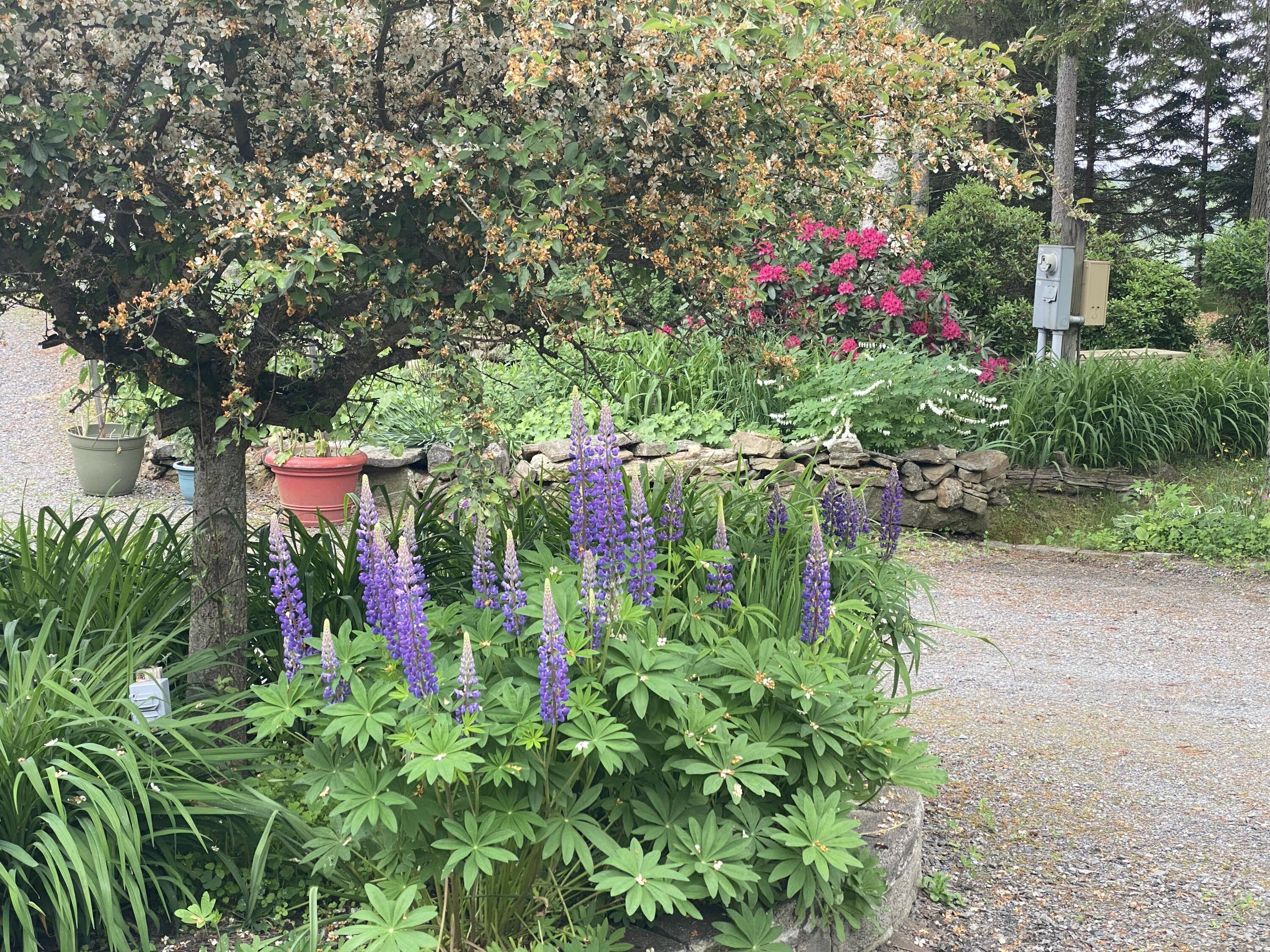 33 + 30 Taylor Road, Westport Island, ME, 04578