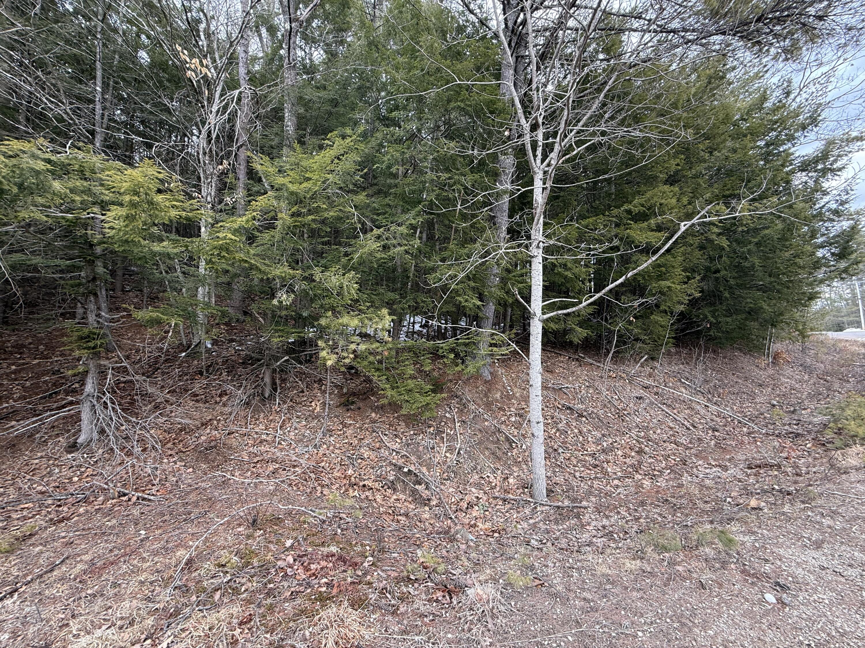 M43 L6 Shady Nook Road, Newfield, ME, 04095