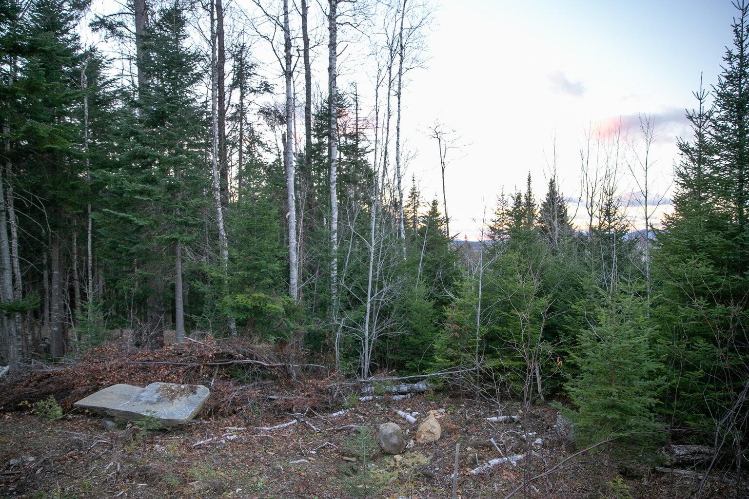 Lot 16 Mill Brook Road, Sandy River Plt, ME, 04970