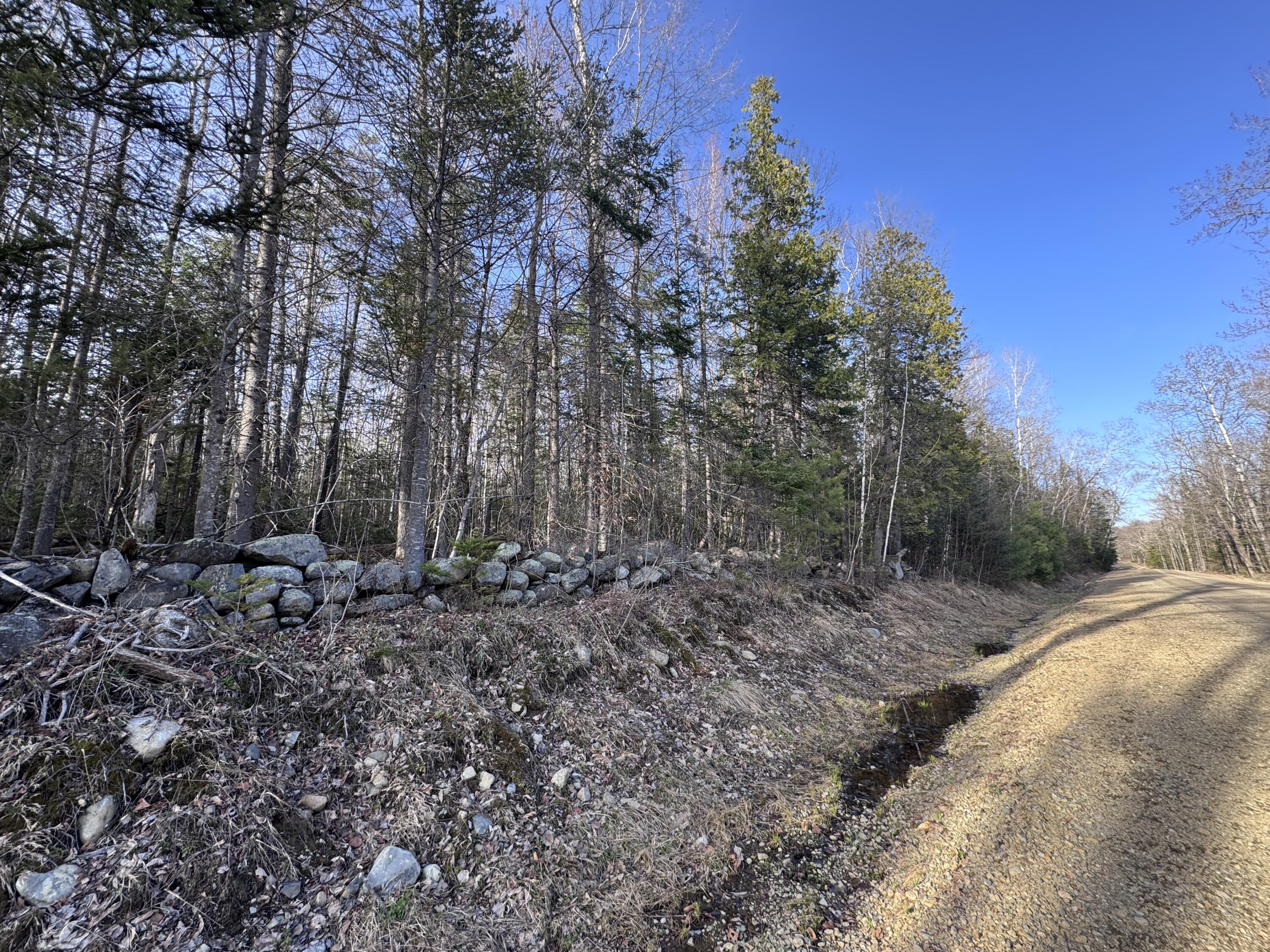 488 Cook Hill Road, Freeman Twp, ME 04983 Rock wall on property