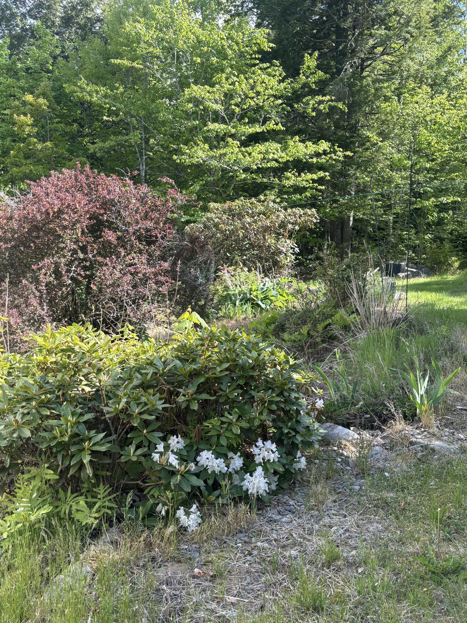 property-listing-images