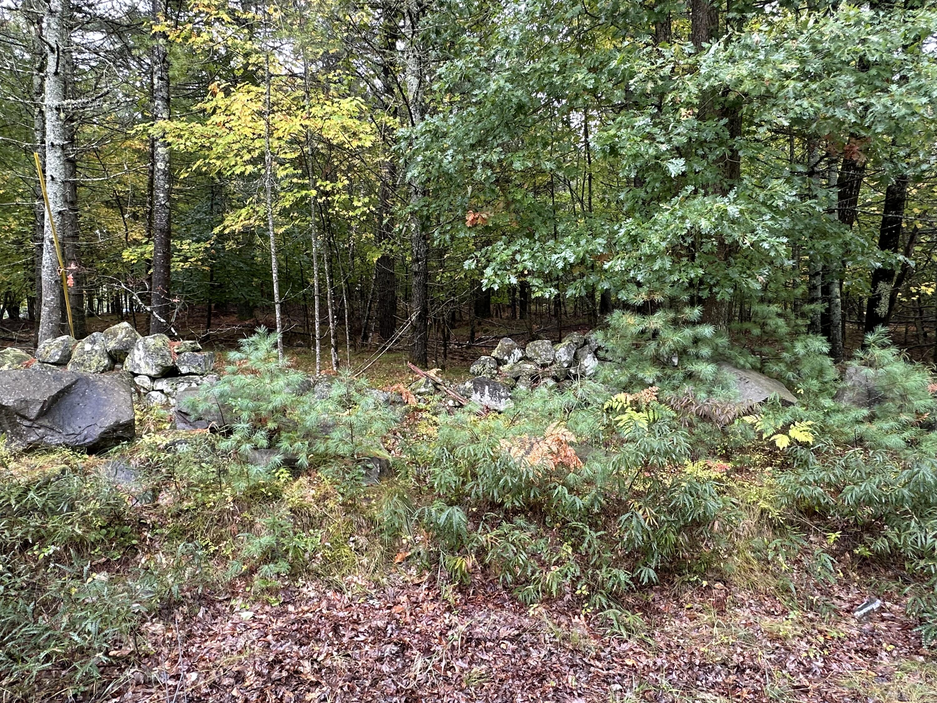 Land