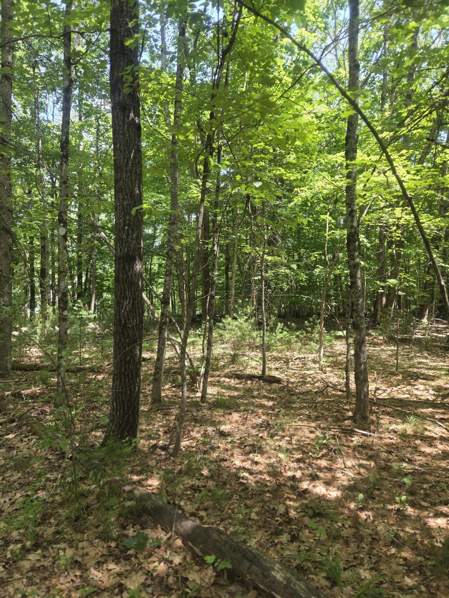 74 Lovejoy Shores Drive, Fayette, ME 04349 20260717_120924