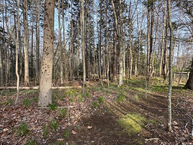 0 Harbor Road, Camden, ME, 04843