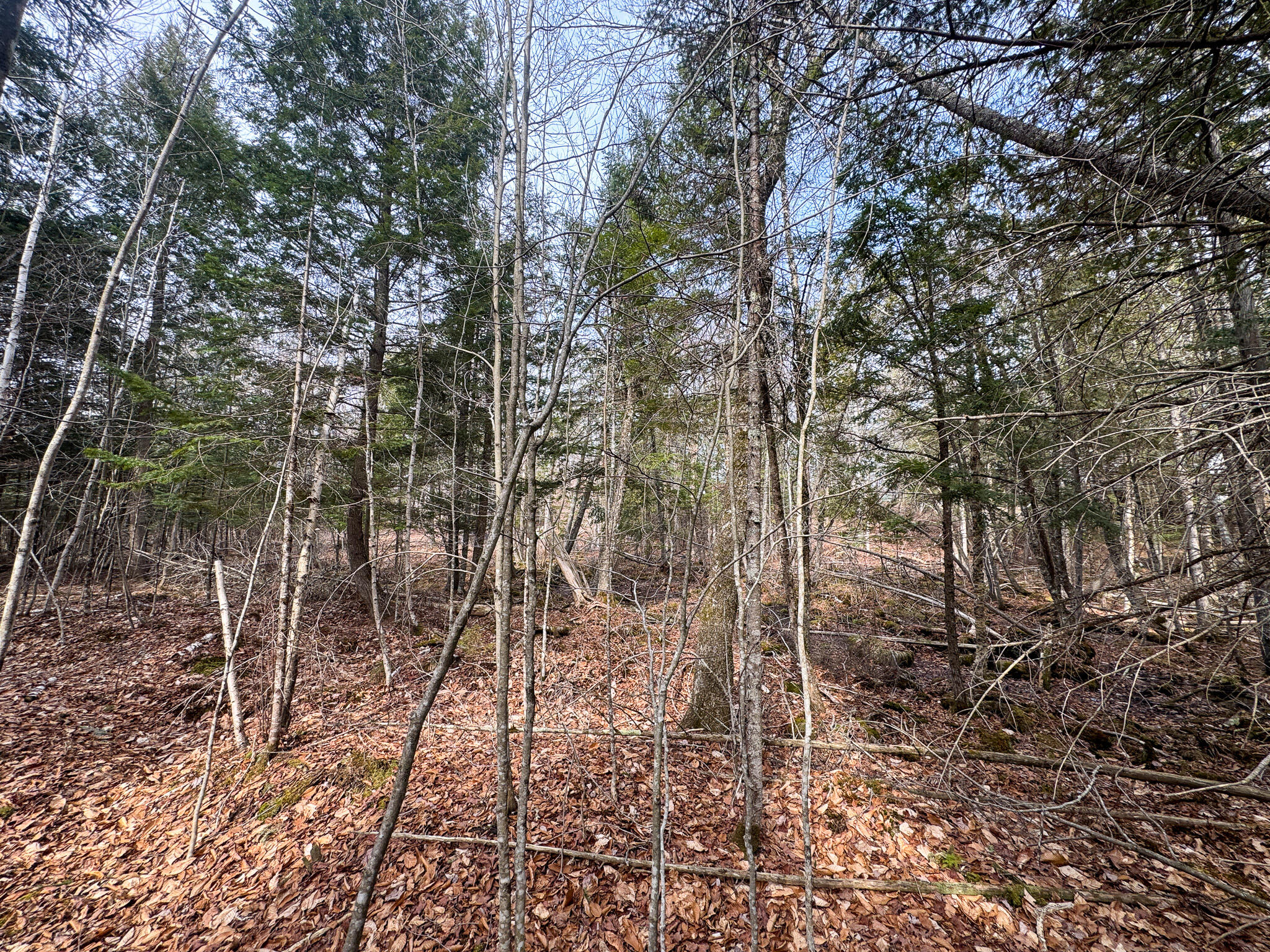 M11L10 Off Gordon Hill Road, Thorndike, ME, 04986