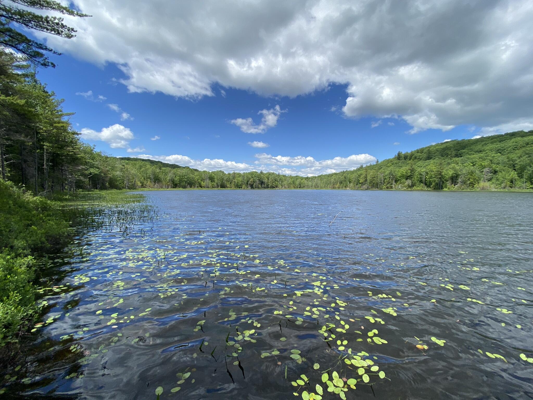 346 Bradeen Road, Sumner, ME, 04292