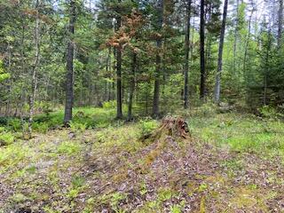 254 Eaton Road, Dexter, ME 04435 — photo 38