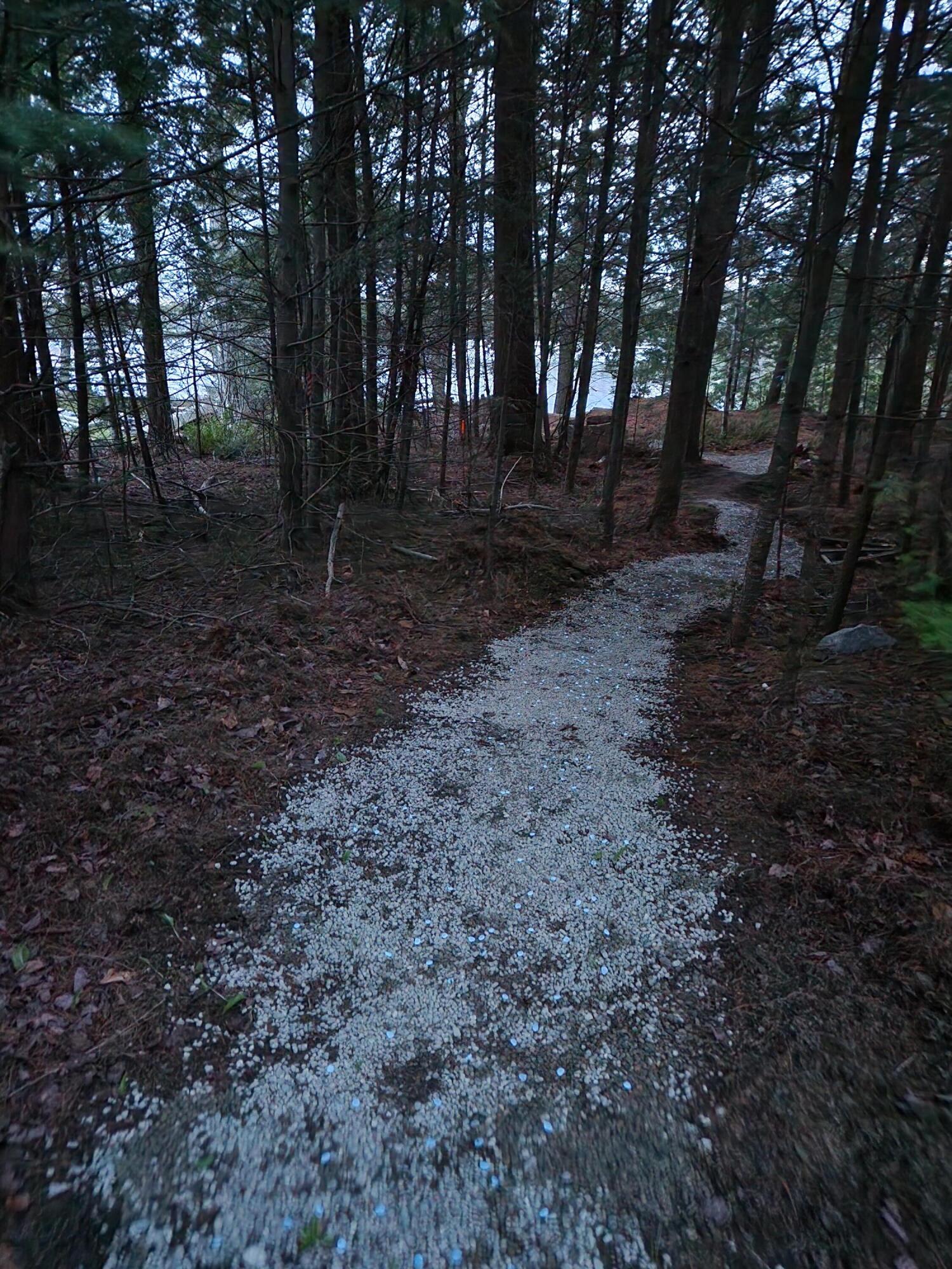 40 Moosepath Lane, Searsport, ME, 04974