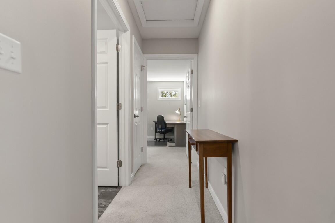 MLS 41