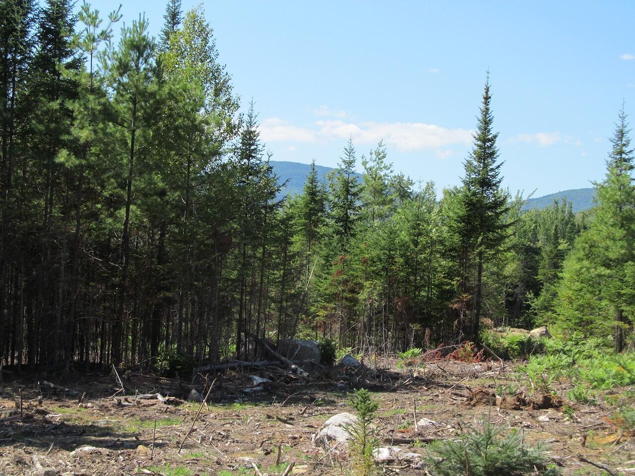 929 Center Hill Road Road, Weld, ME, 04285